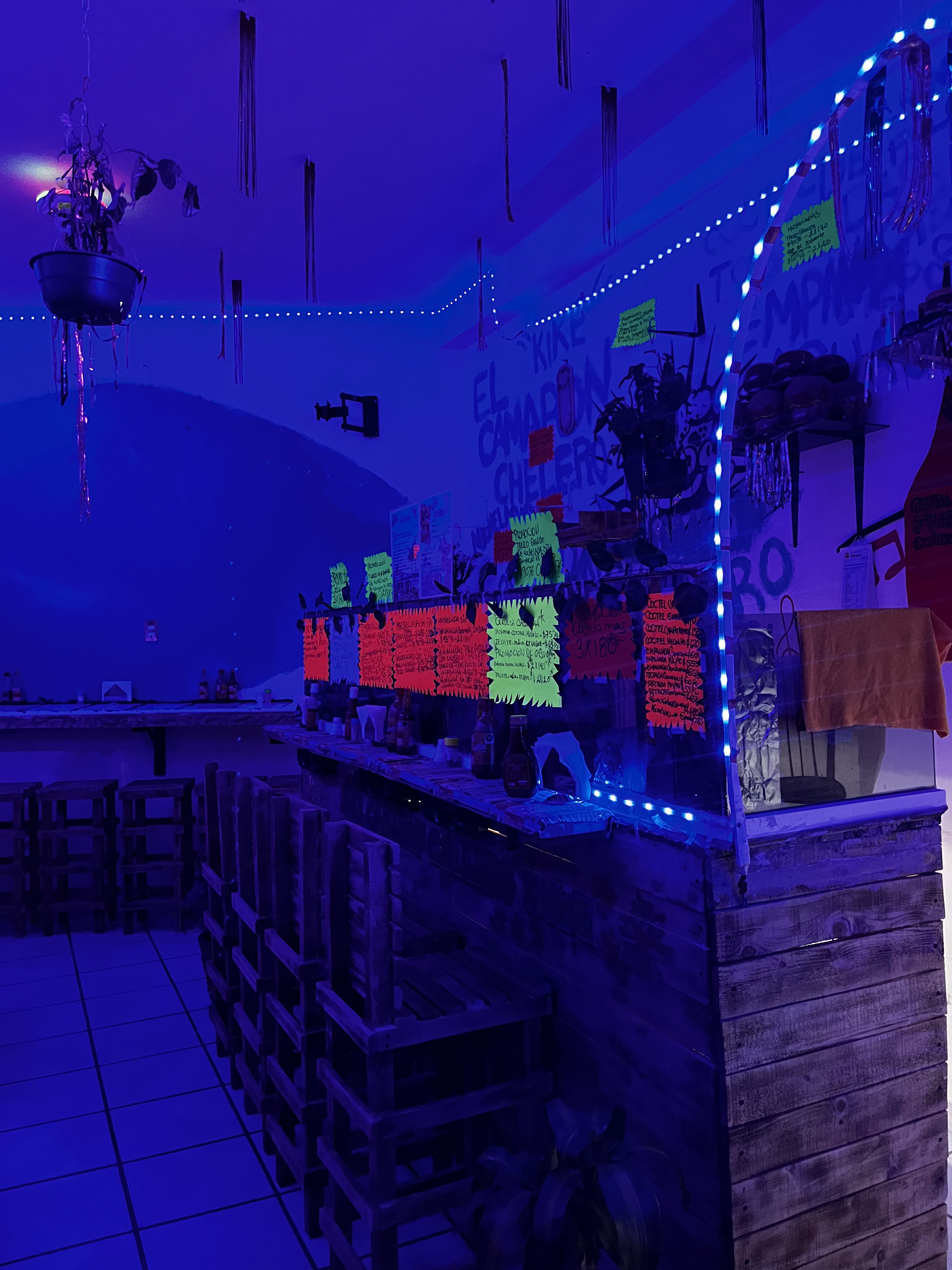 El Camarón Chelero image 9