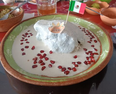 Tecuí image 5