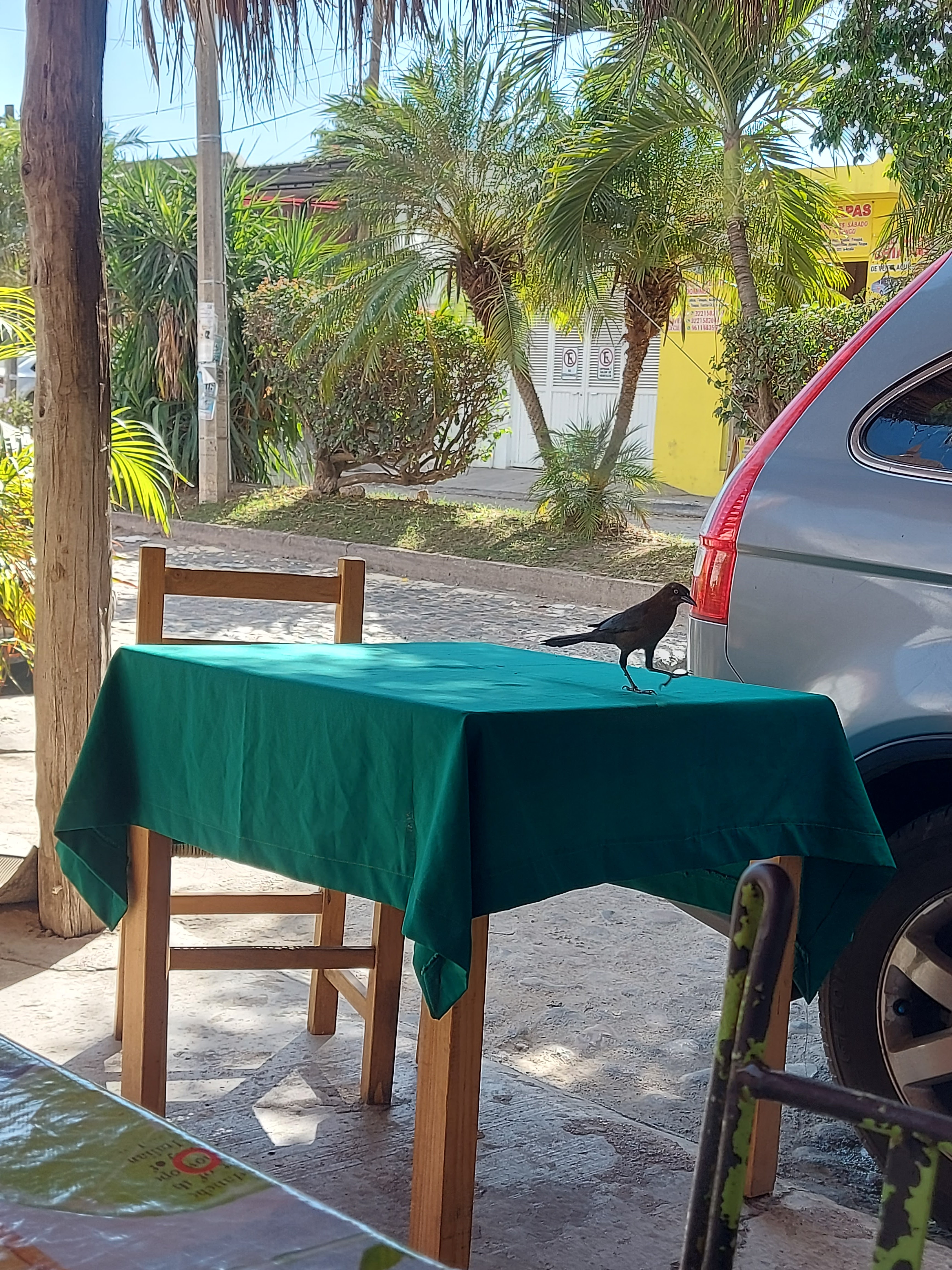 Mariscos Jony (Bertha) image 1