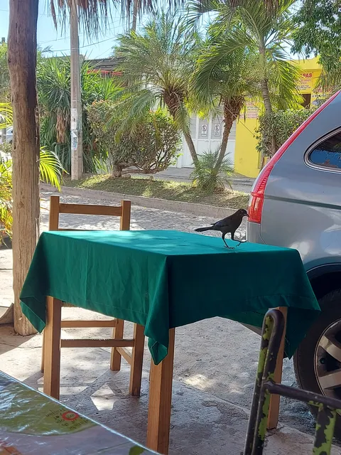 Mariscos Jony (Bertha) image 1