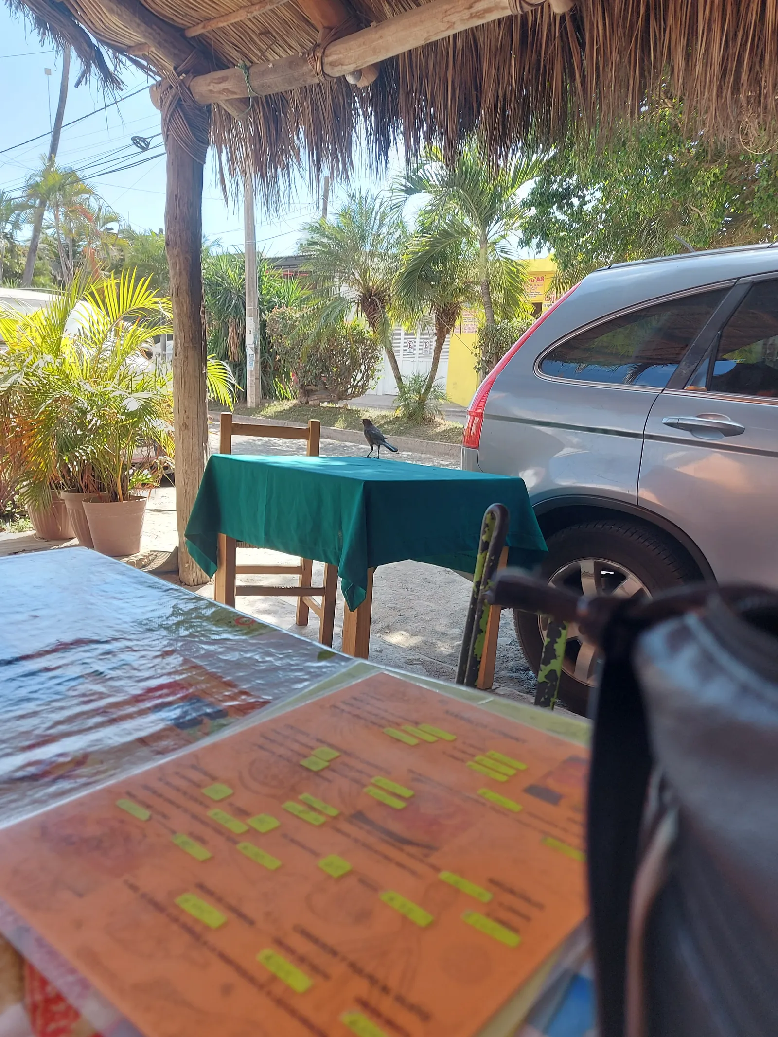 Mariscos Jony (Bertha) image 5