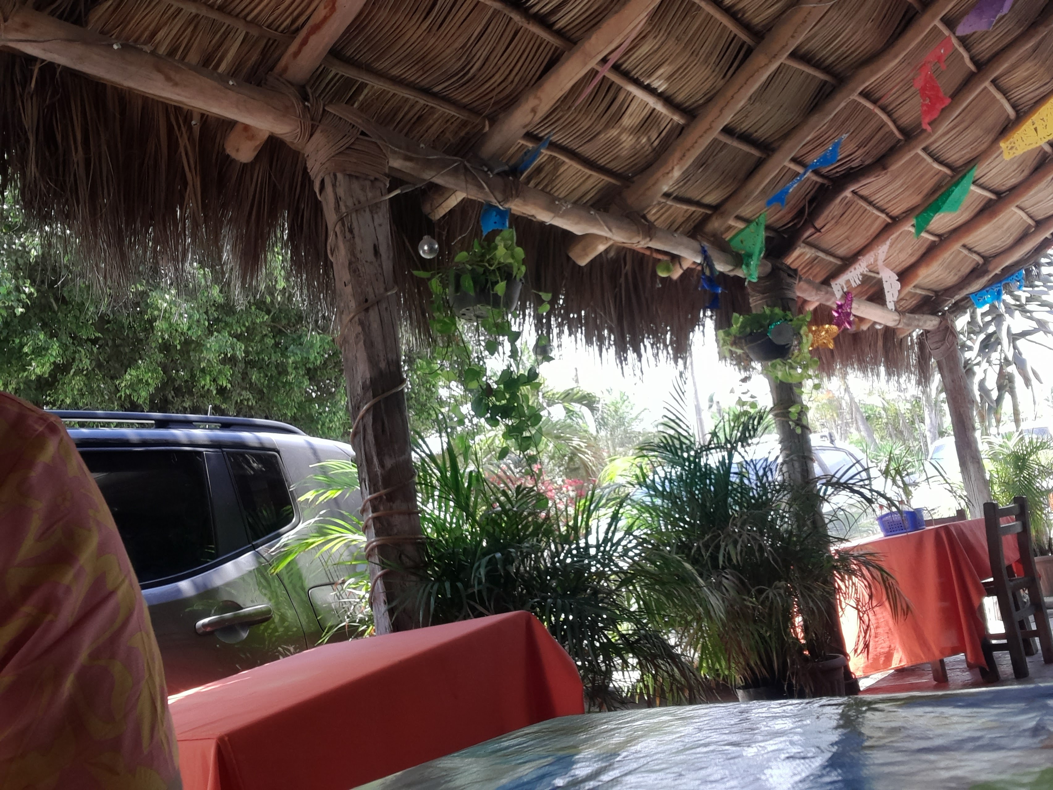 Mariscos Jony (Bertha) image 8