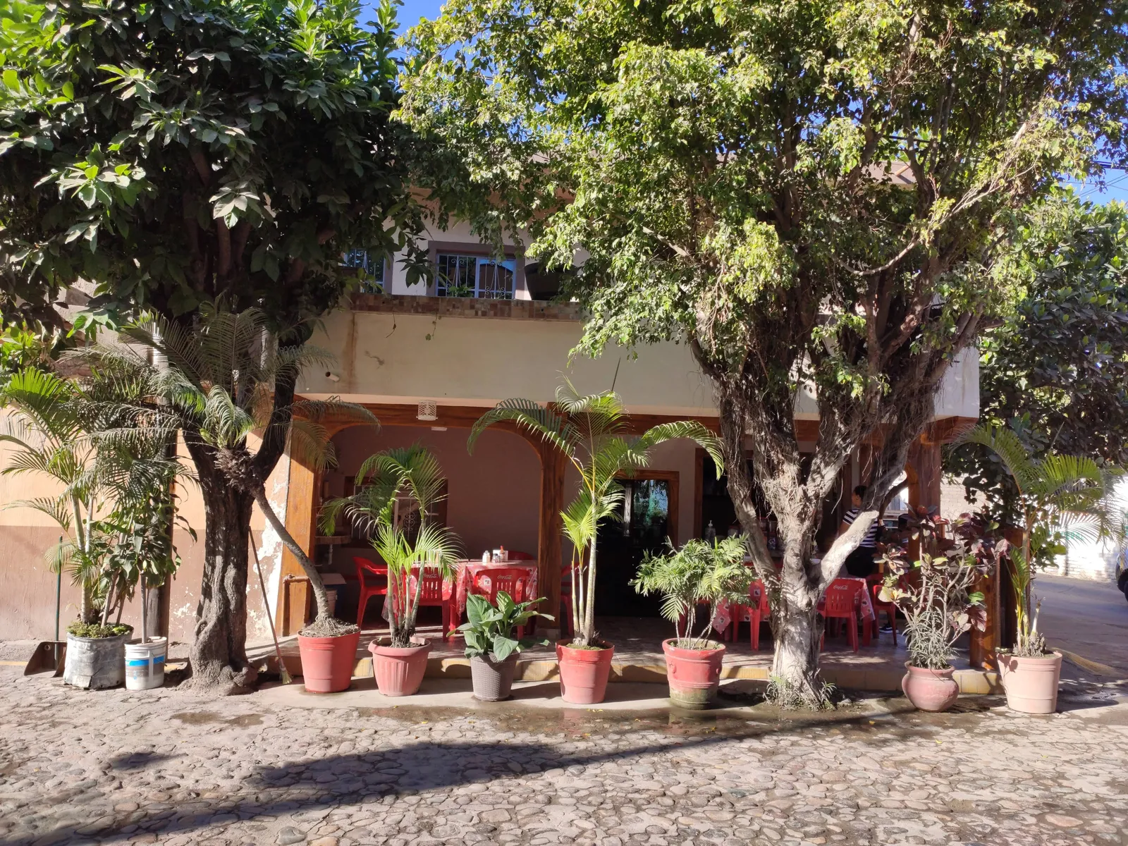 Comedor "La Jarocha" image 2