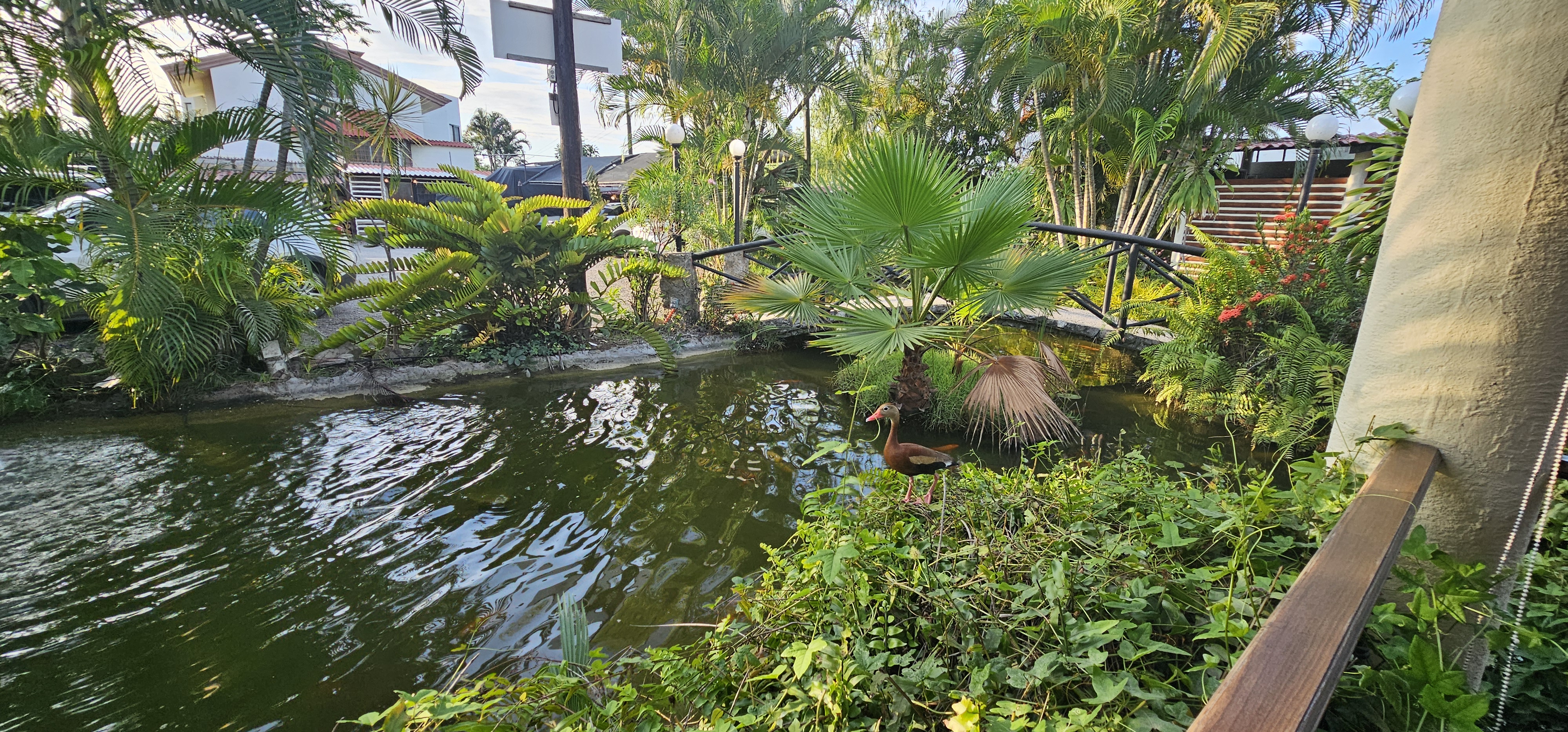 Rincon De Buenos Aires, Argentinian Steak House image 5