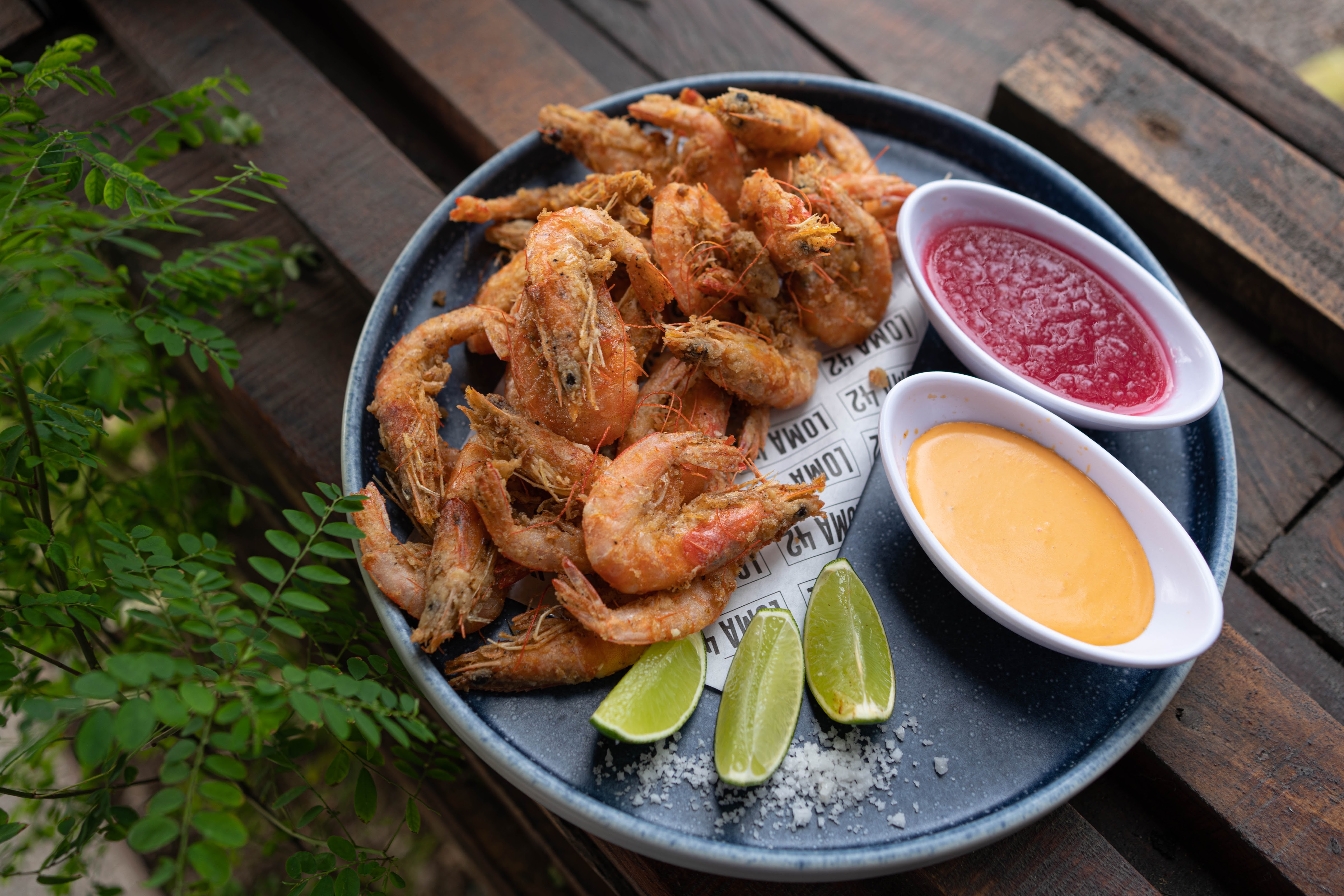 LOMA 42 BAHIA image 7