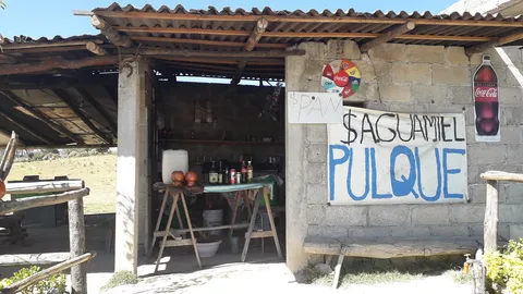 Pulqueria LOS MAGUEYES image 1