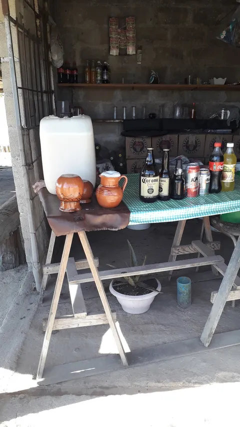Pulqueria LOS MAGUEYES image 2