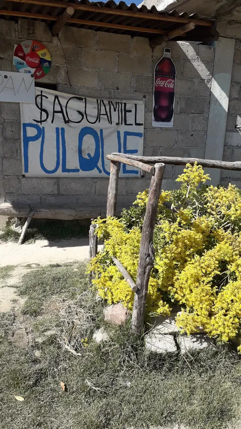 Pulqueria LOS MAGUEYES image 3
