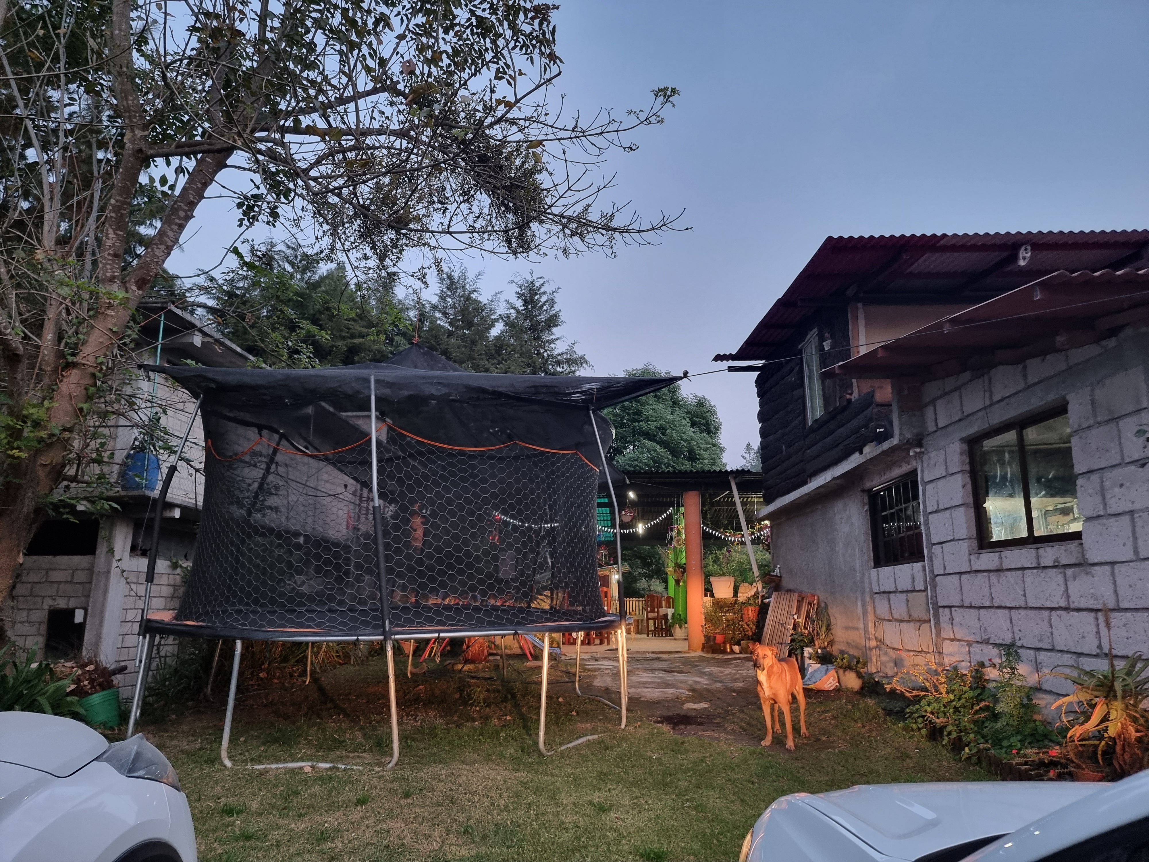 La Trucha Escondida Restauran image 9