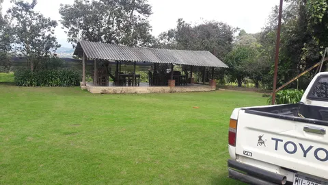El Naranjo image 2
