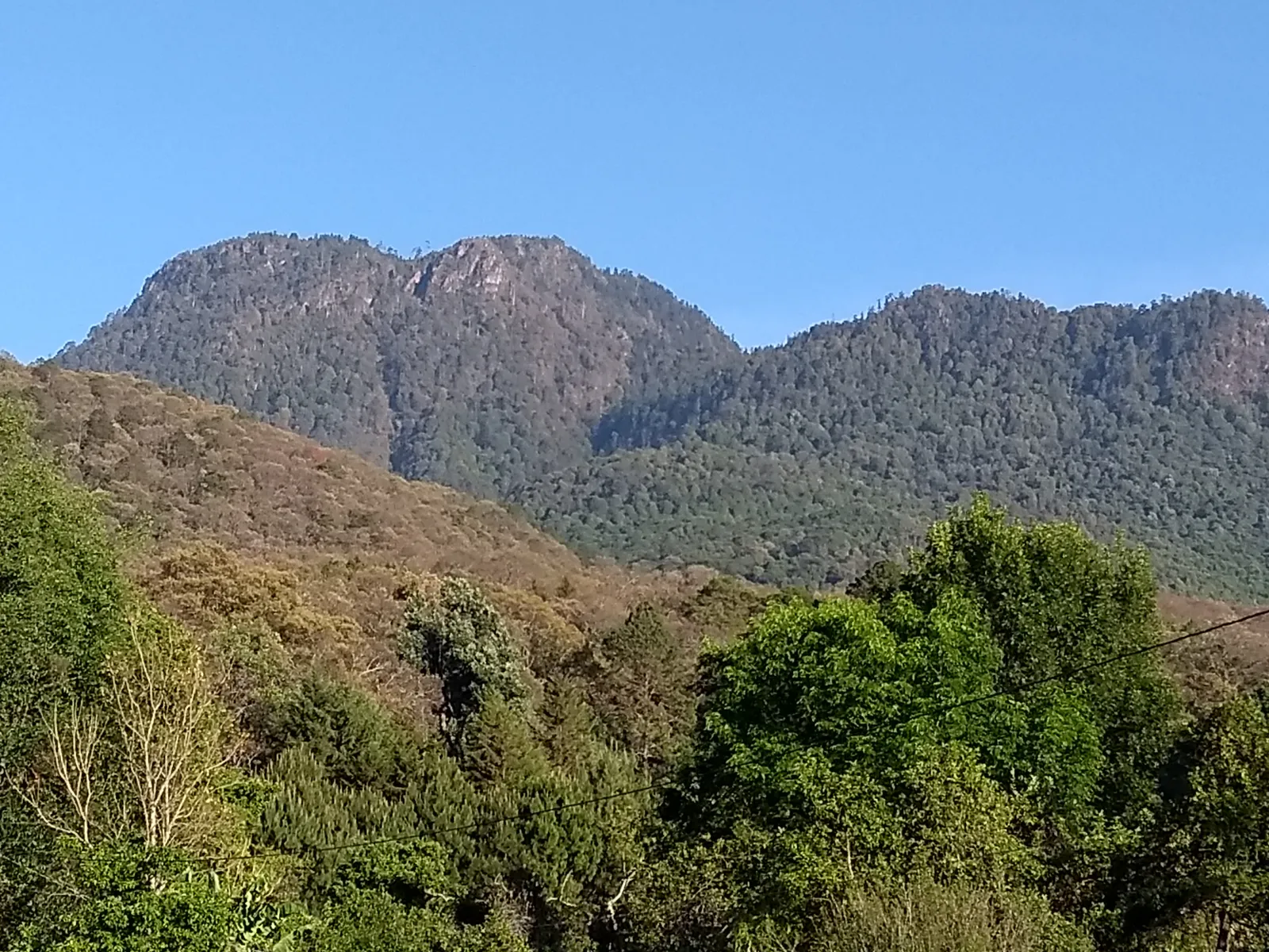 El Naranjo image 3