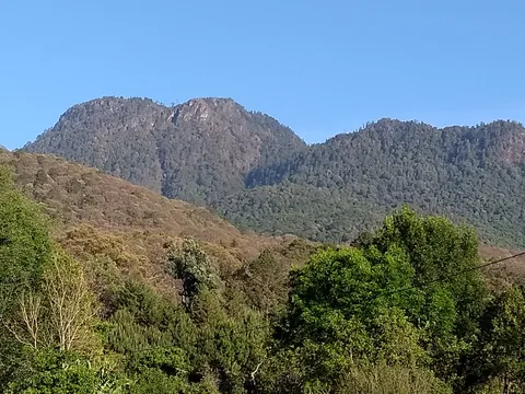 El Naranjo image 3