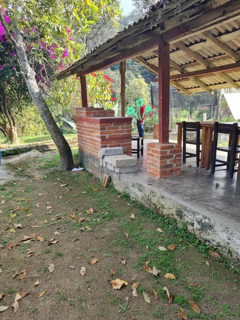 El Naranjo image 4