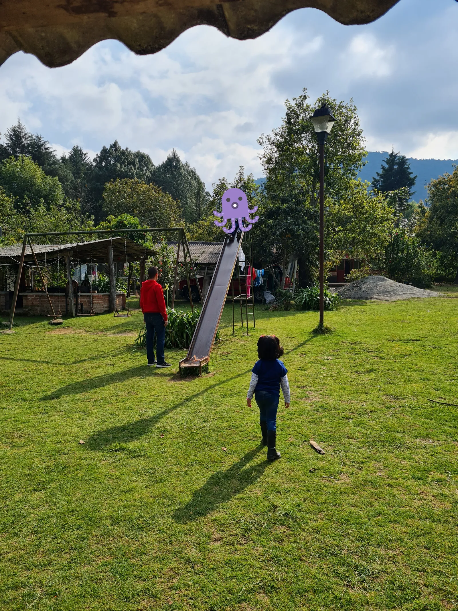 El Naranjo image 5