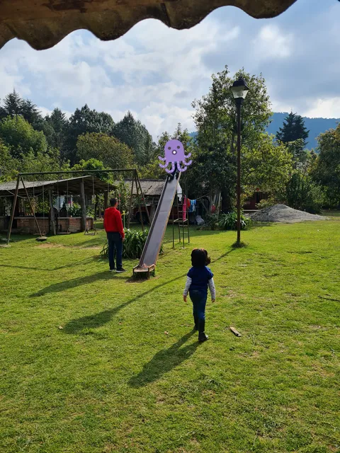 El Naranjo image 5