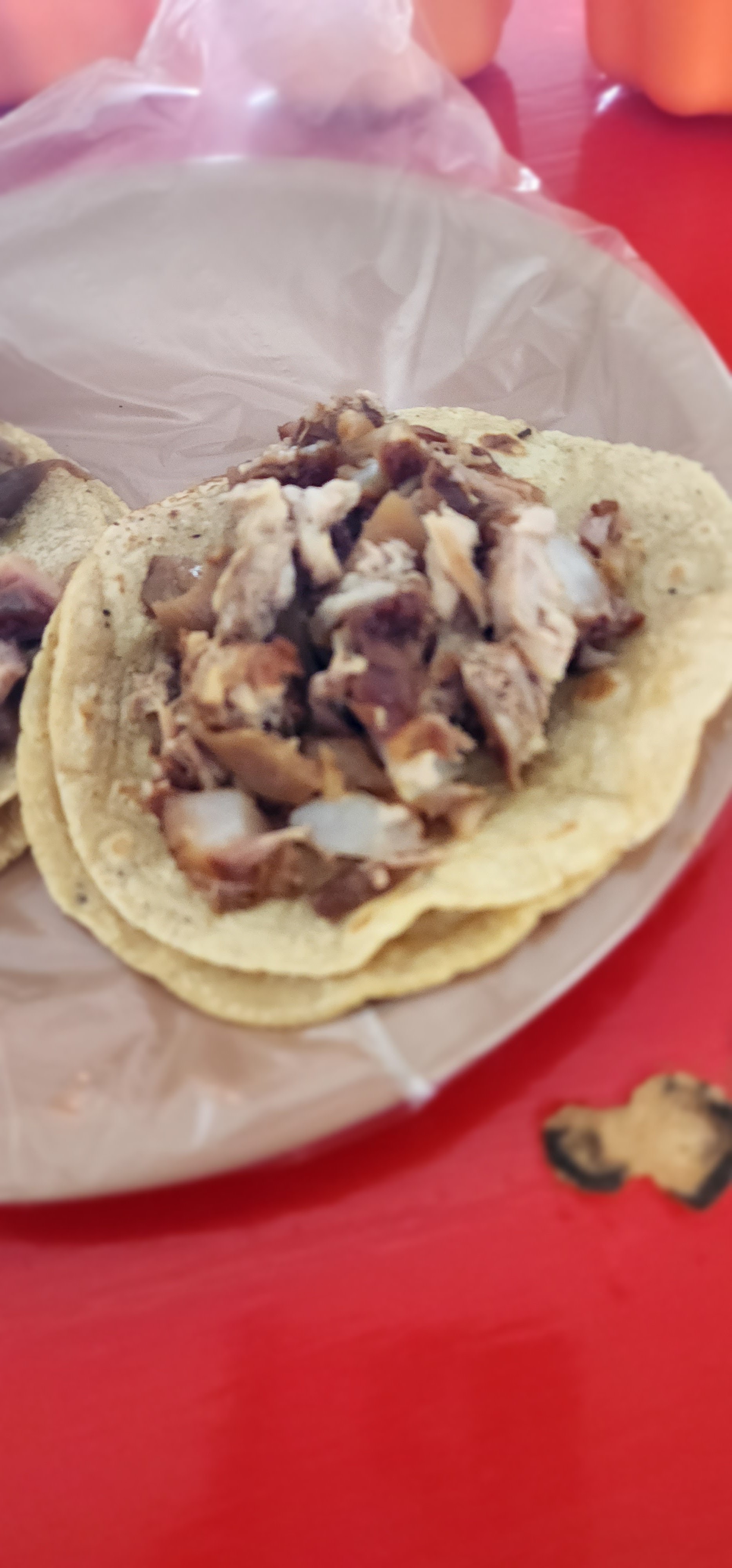 CARNITAS UN PASO AL MÁS ALLÁ 2 image 4