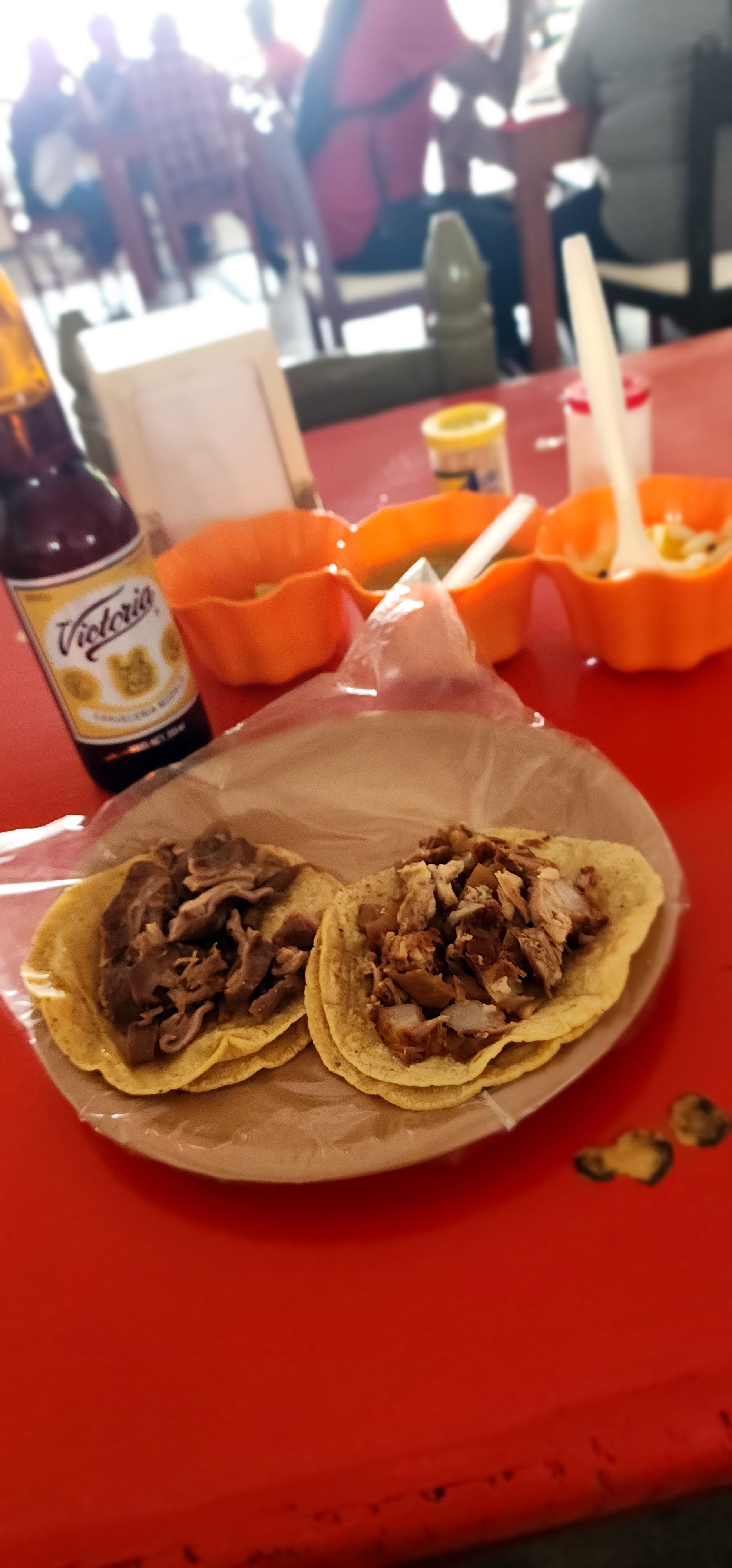 CARNITAS UN PASO AL MÁS ALLÁ 2 image 10