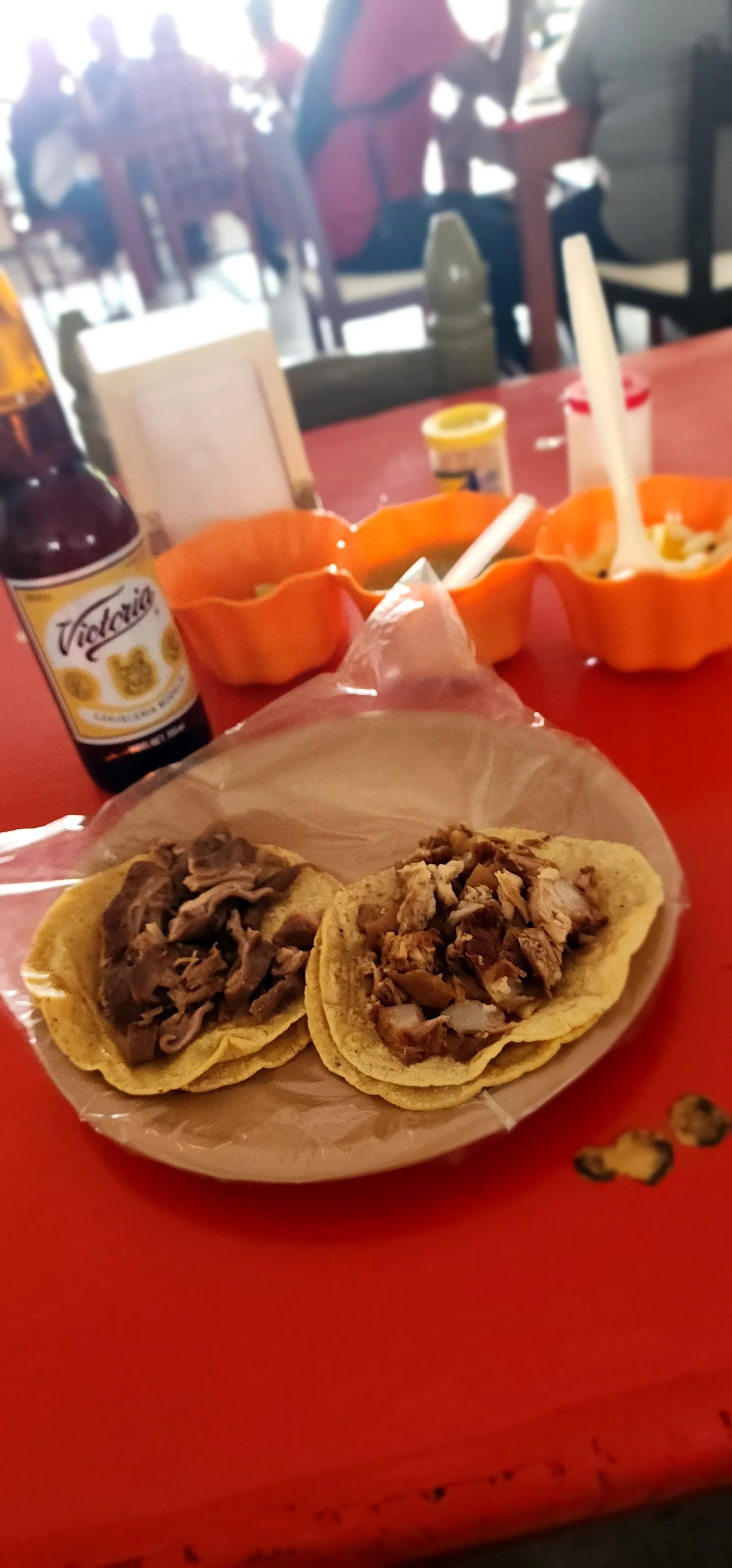 CARNITAS UN PASO AL MÁS ALLÁ 2 image 10