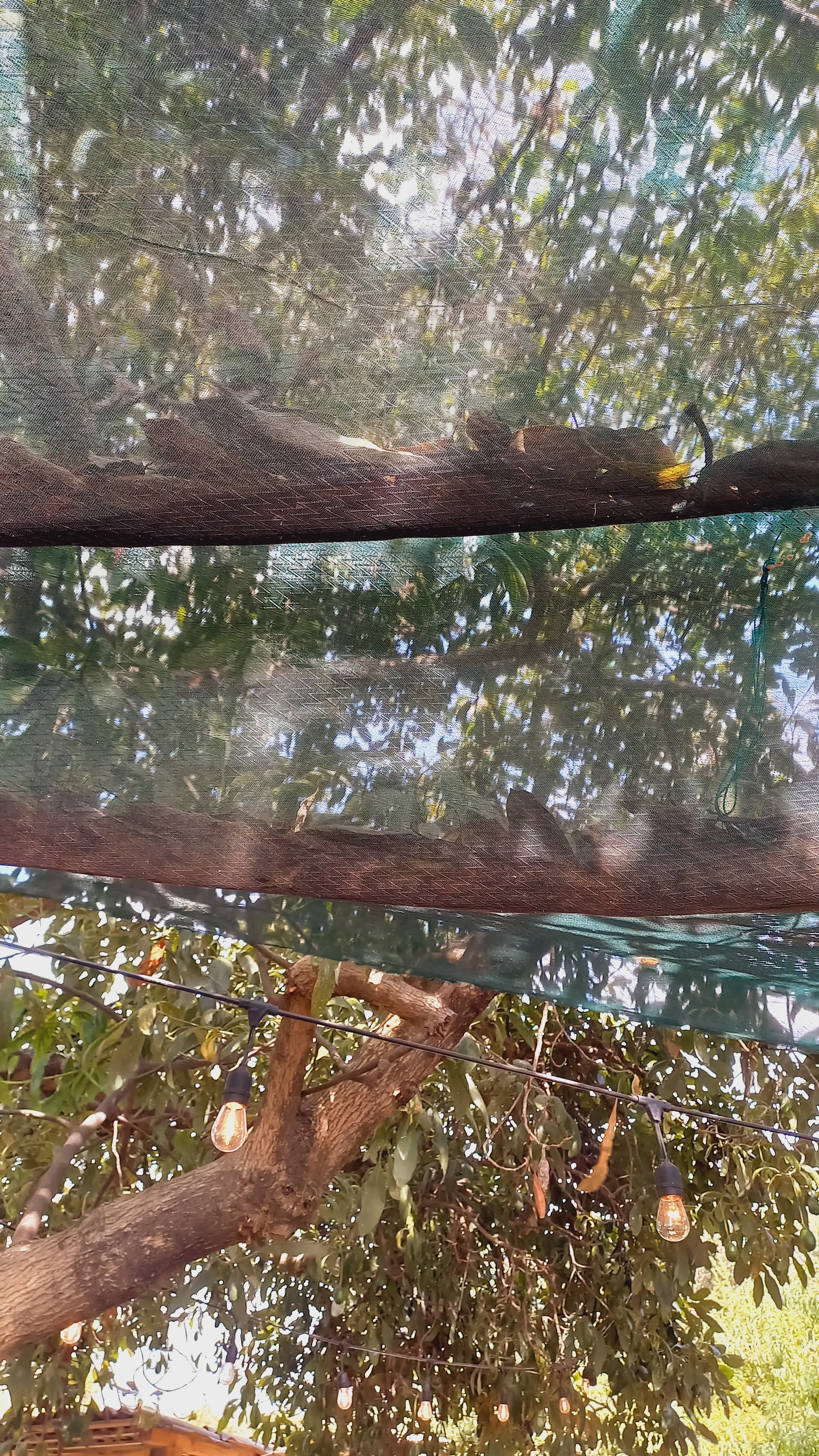 Mariscos La Pesca image 3