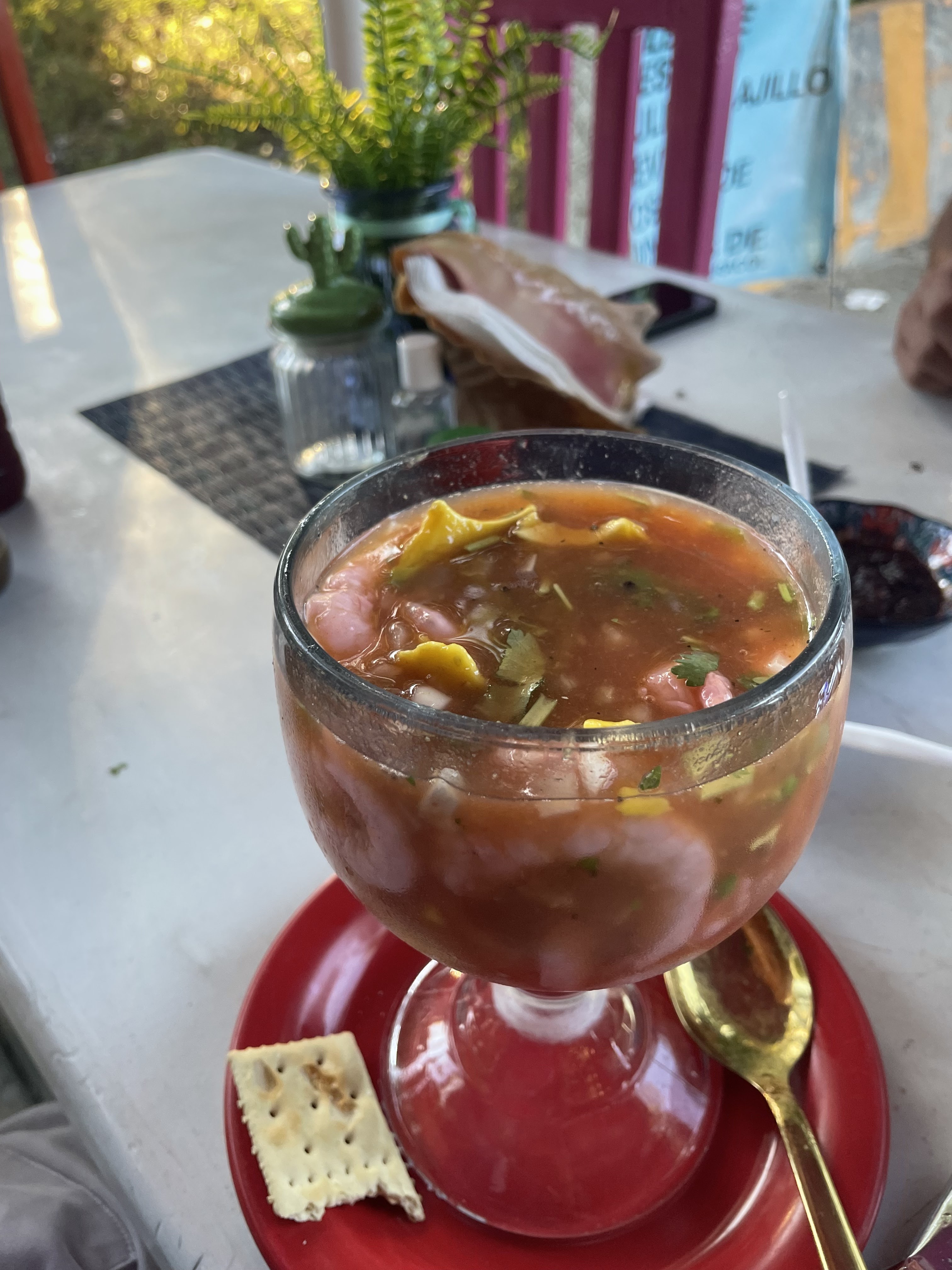 Punto Marino - Isla aguada image 3