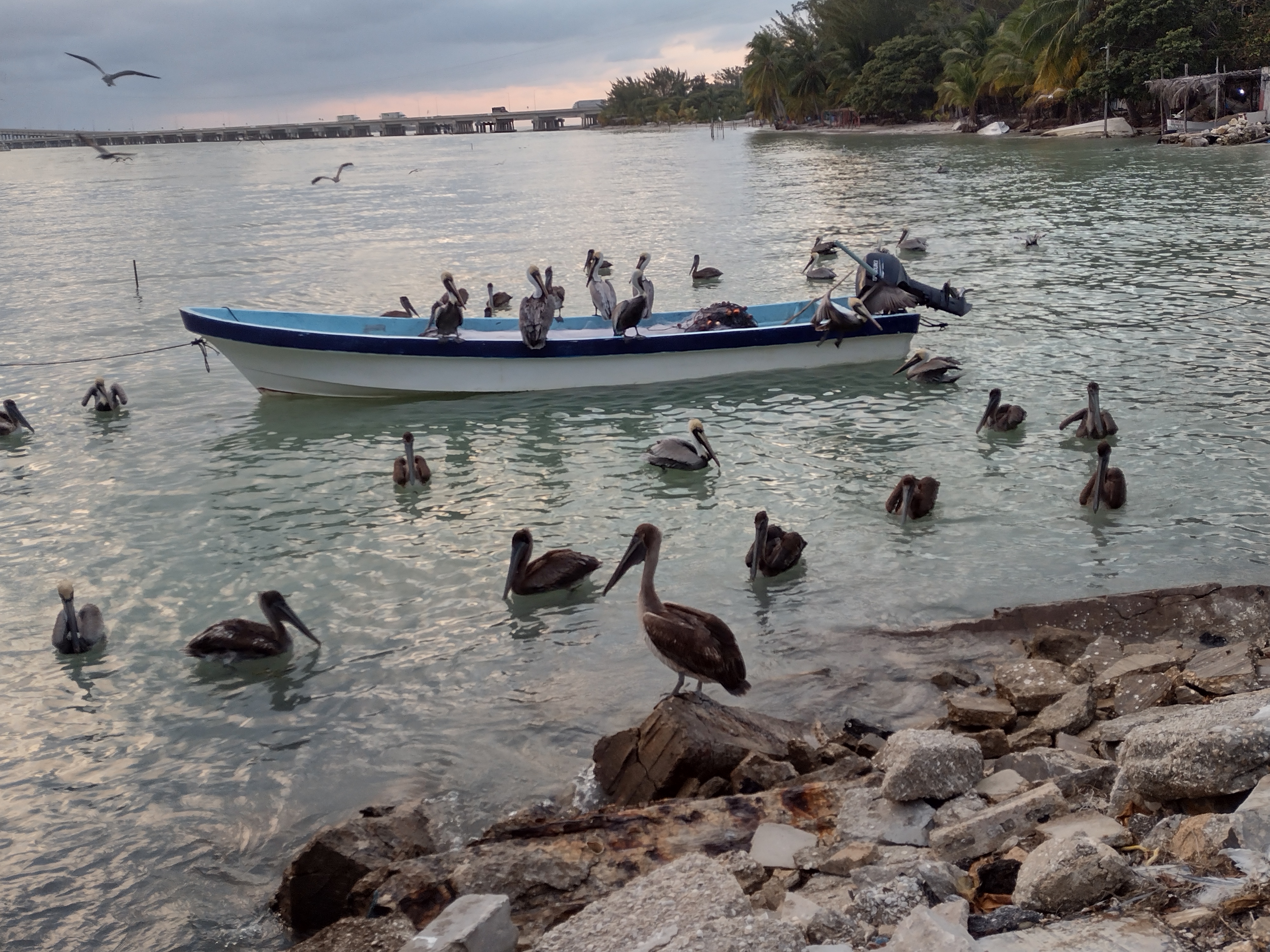 Mar Y Cruz 2 image 8