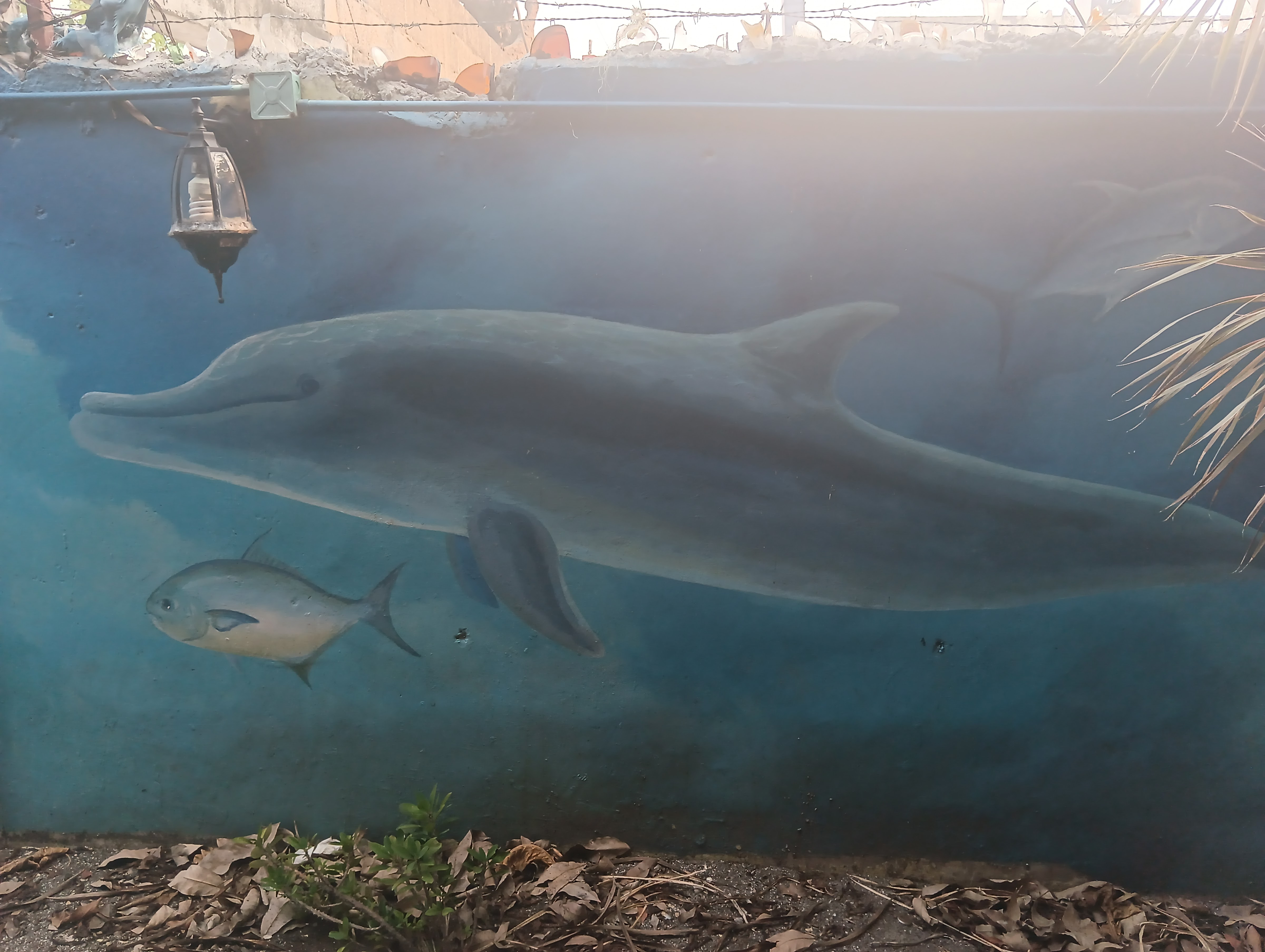 Panucheria La Palapa image 9