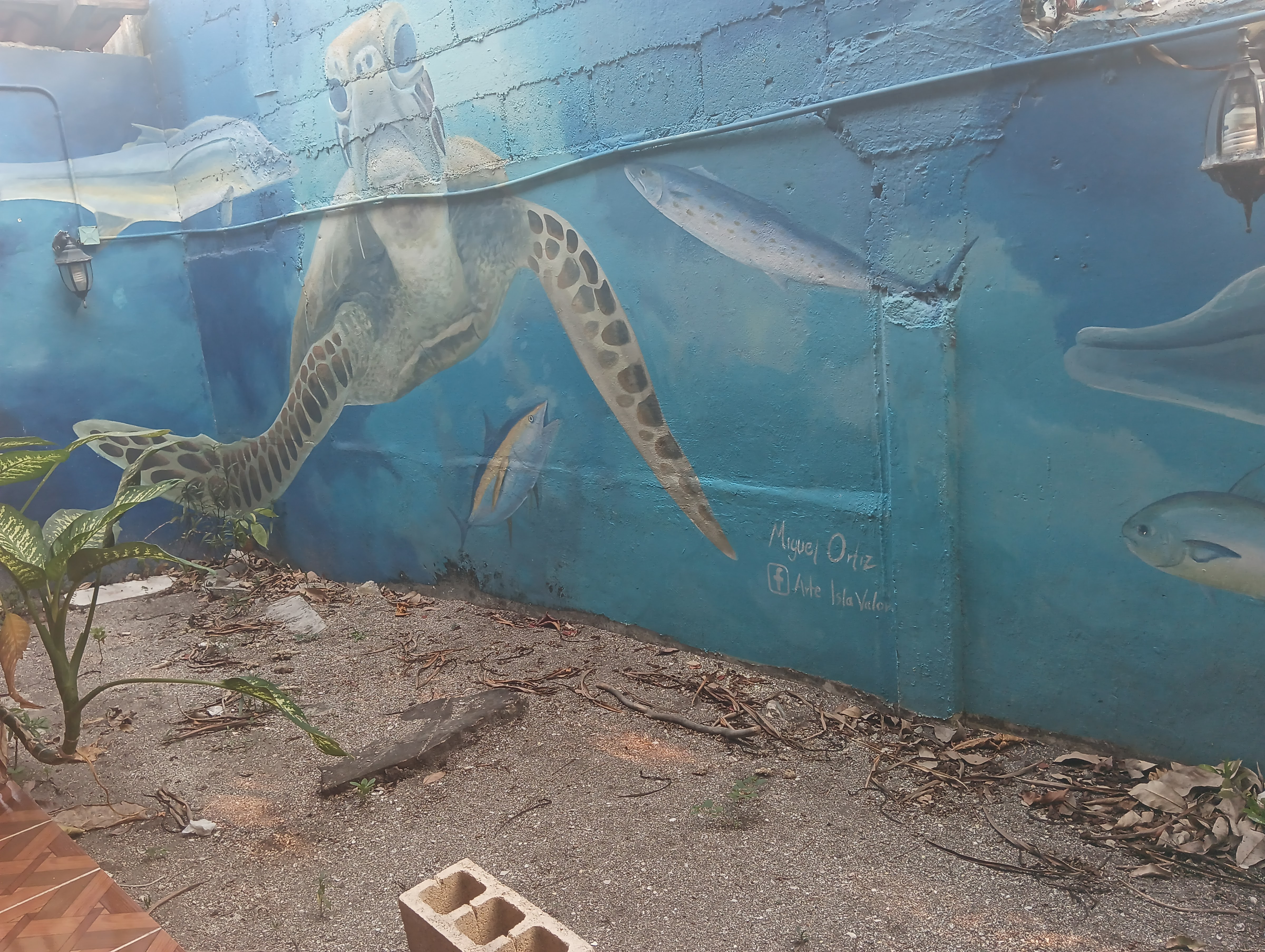 Panucheria La Palapa image 10