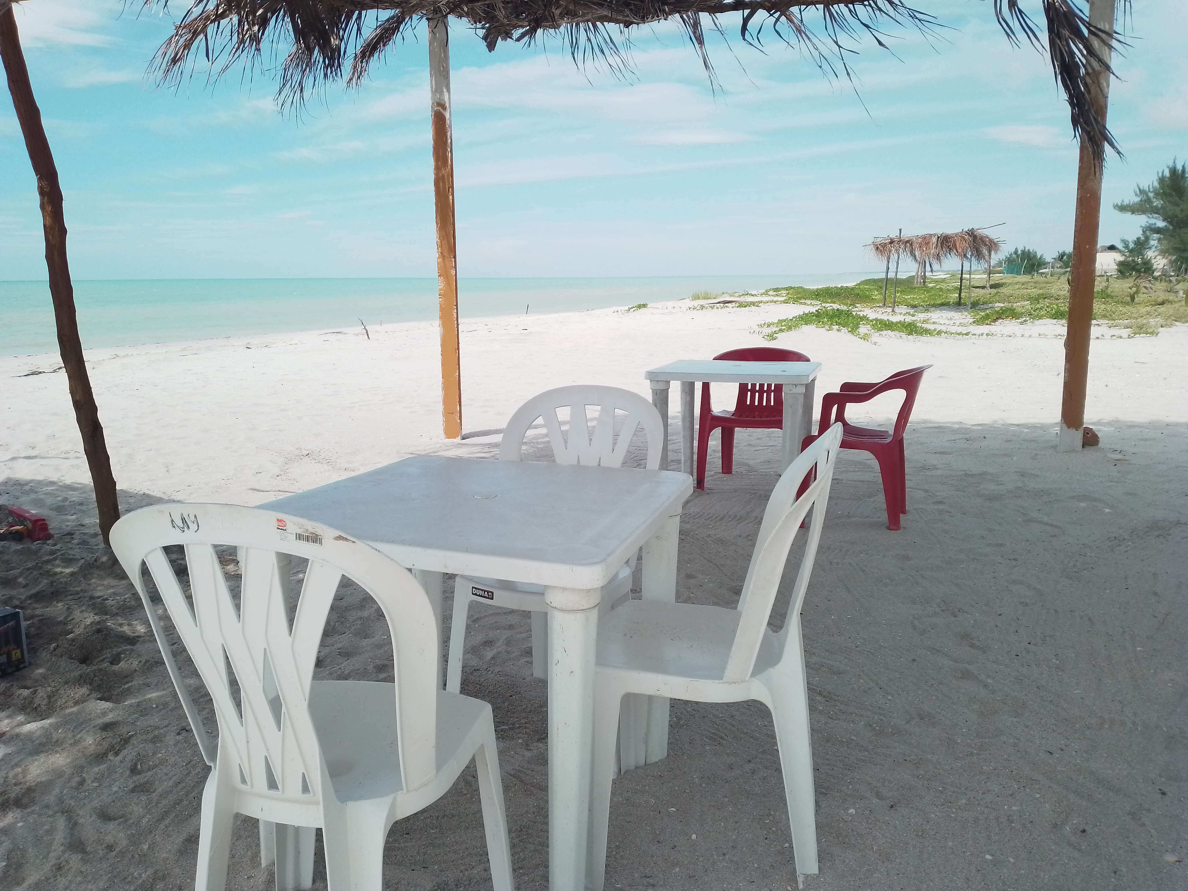 Playa tortugas image 1