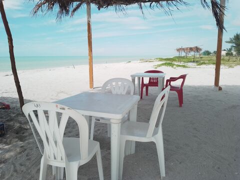 Playa tortugas image 1