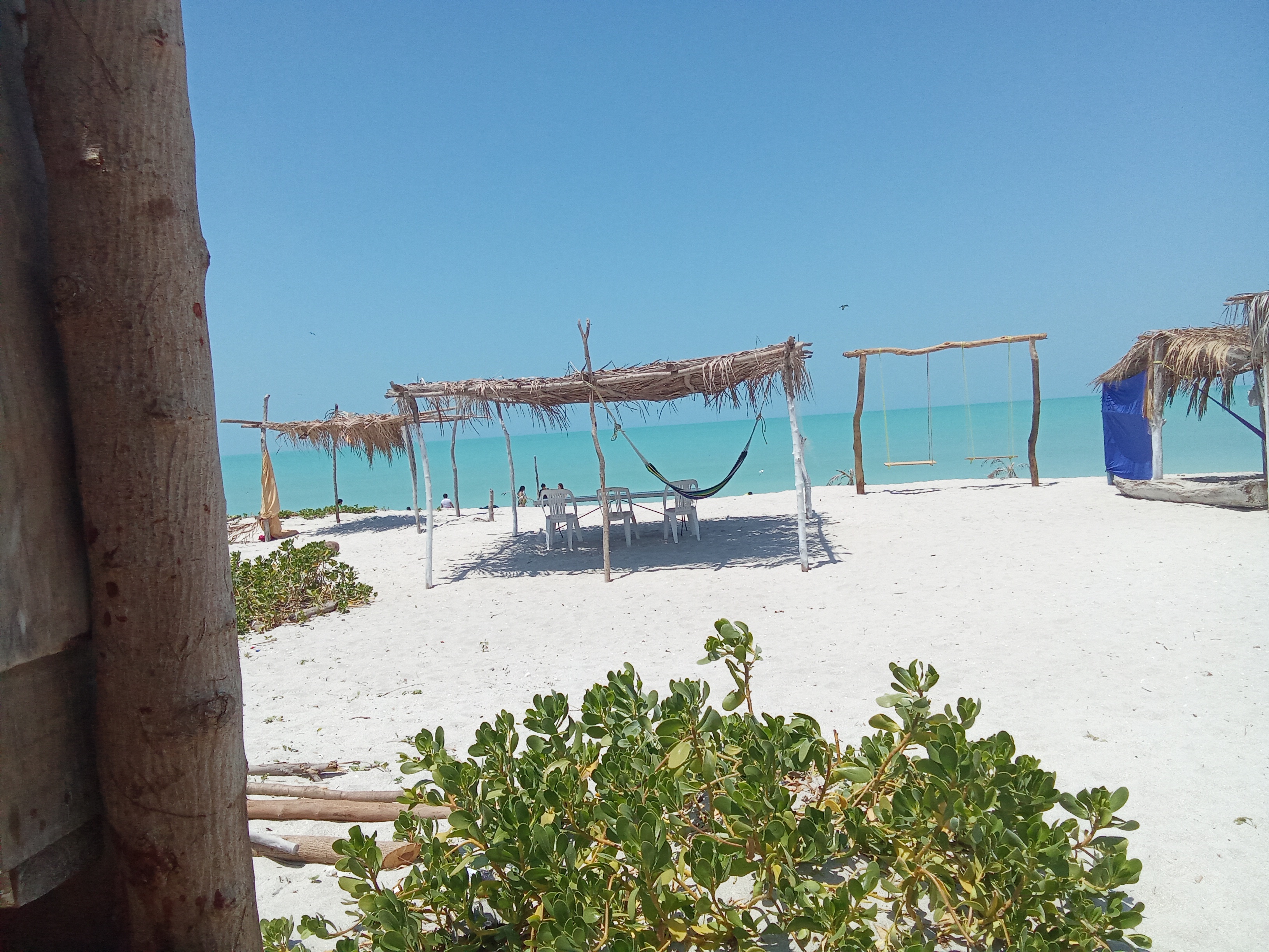 Playa tortugas image 3