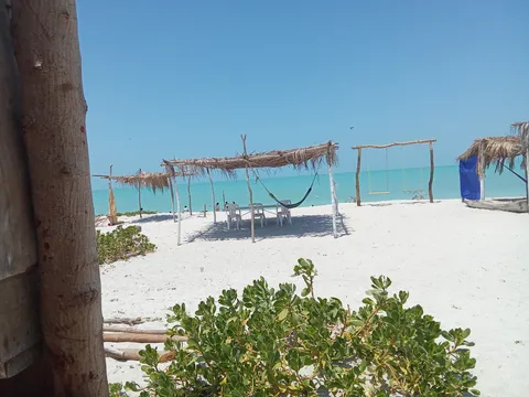 Playa tortugas image 3
