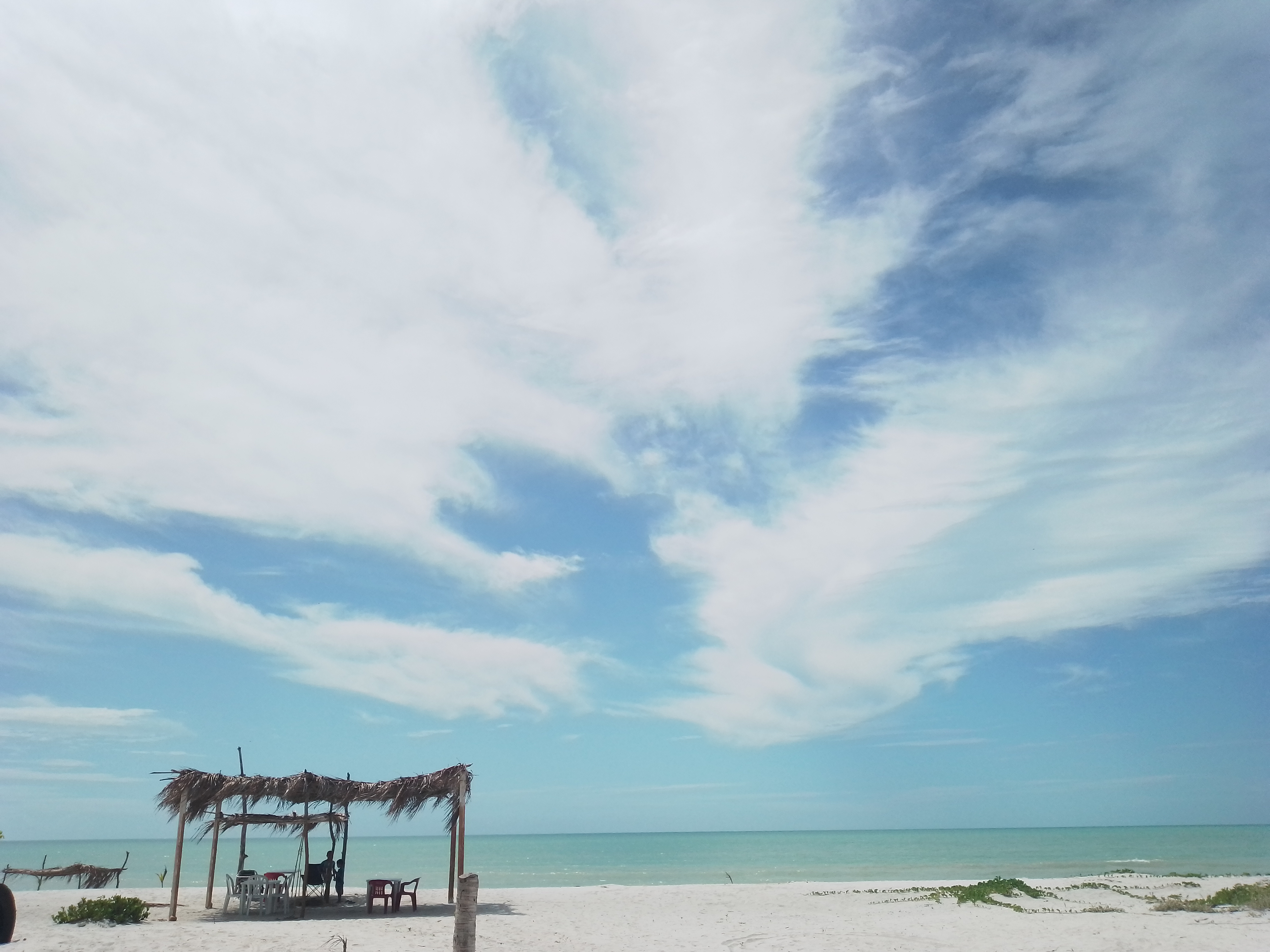 Playa tortugas image 4