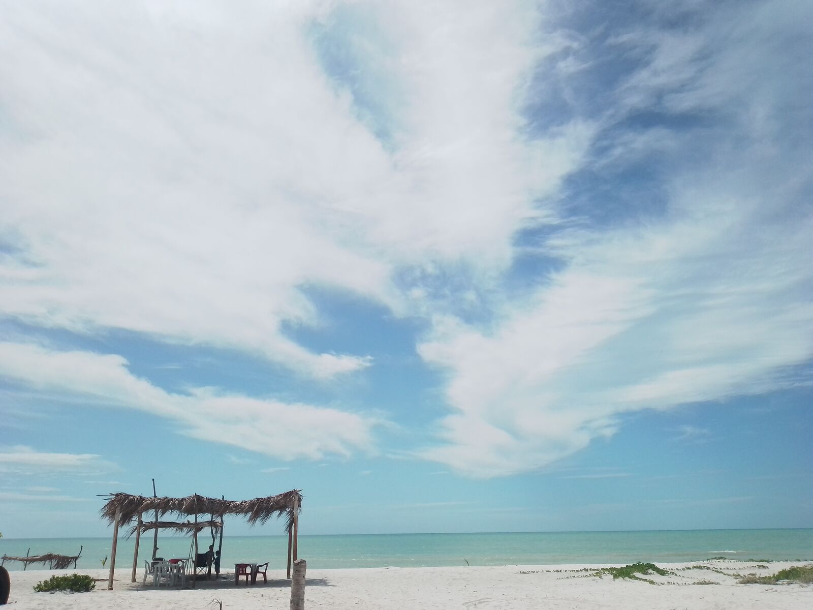 Playa tortugas image 4