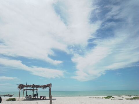Playa tortugas image 4