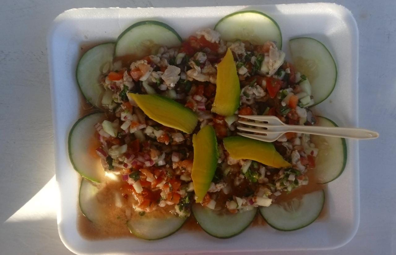 Playa tortugas image 9