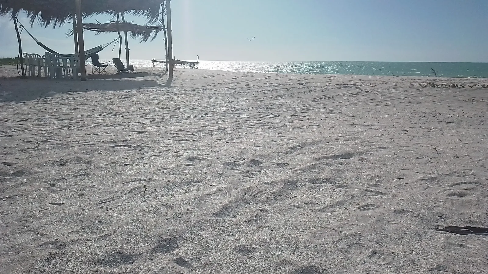 Playa tortugas image 10