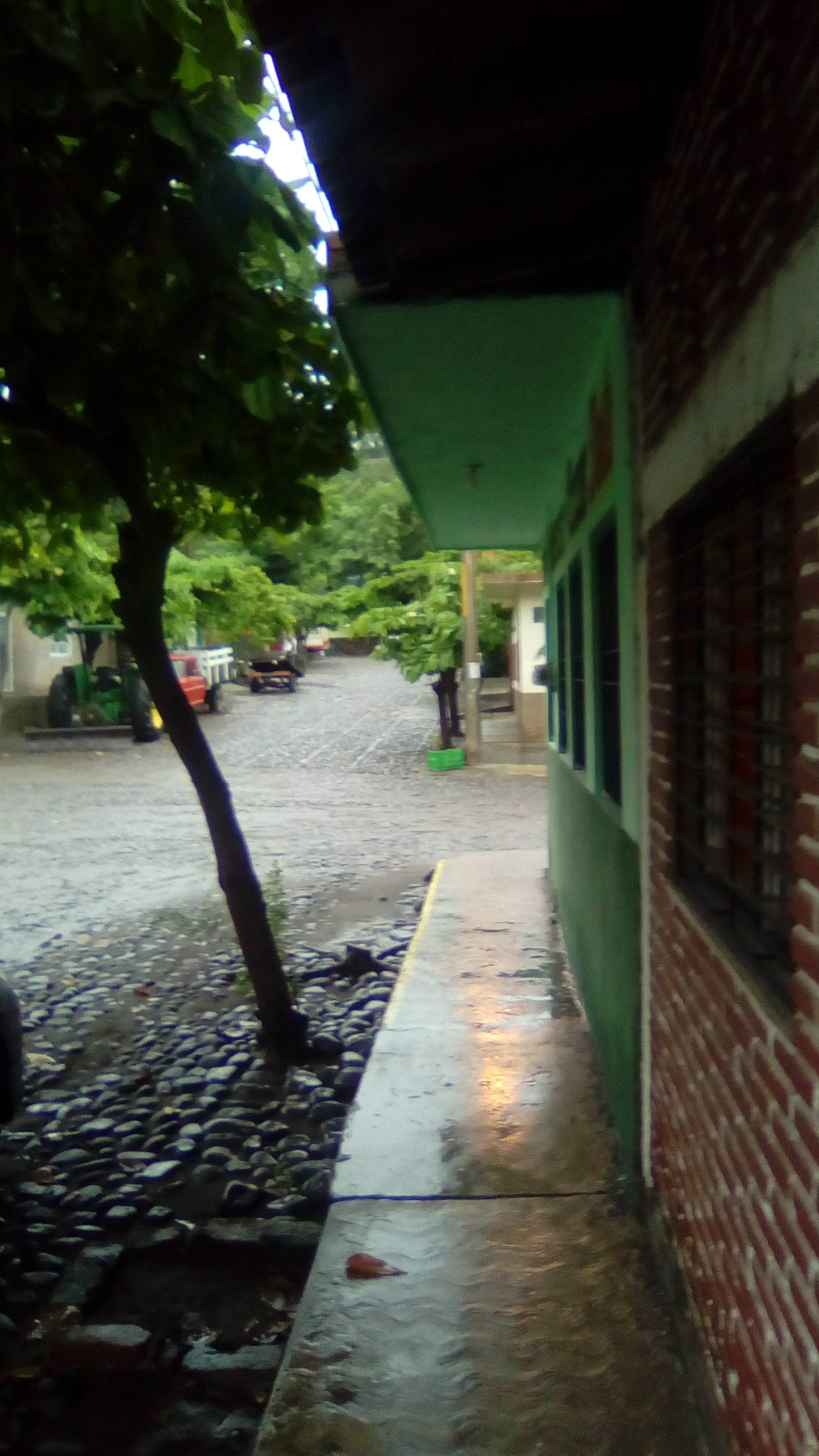 Hamburguesas Y Pizzas Dante image 7