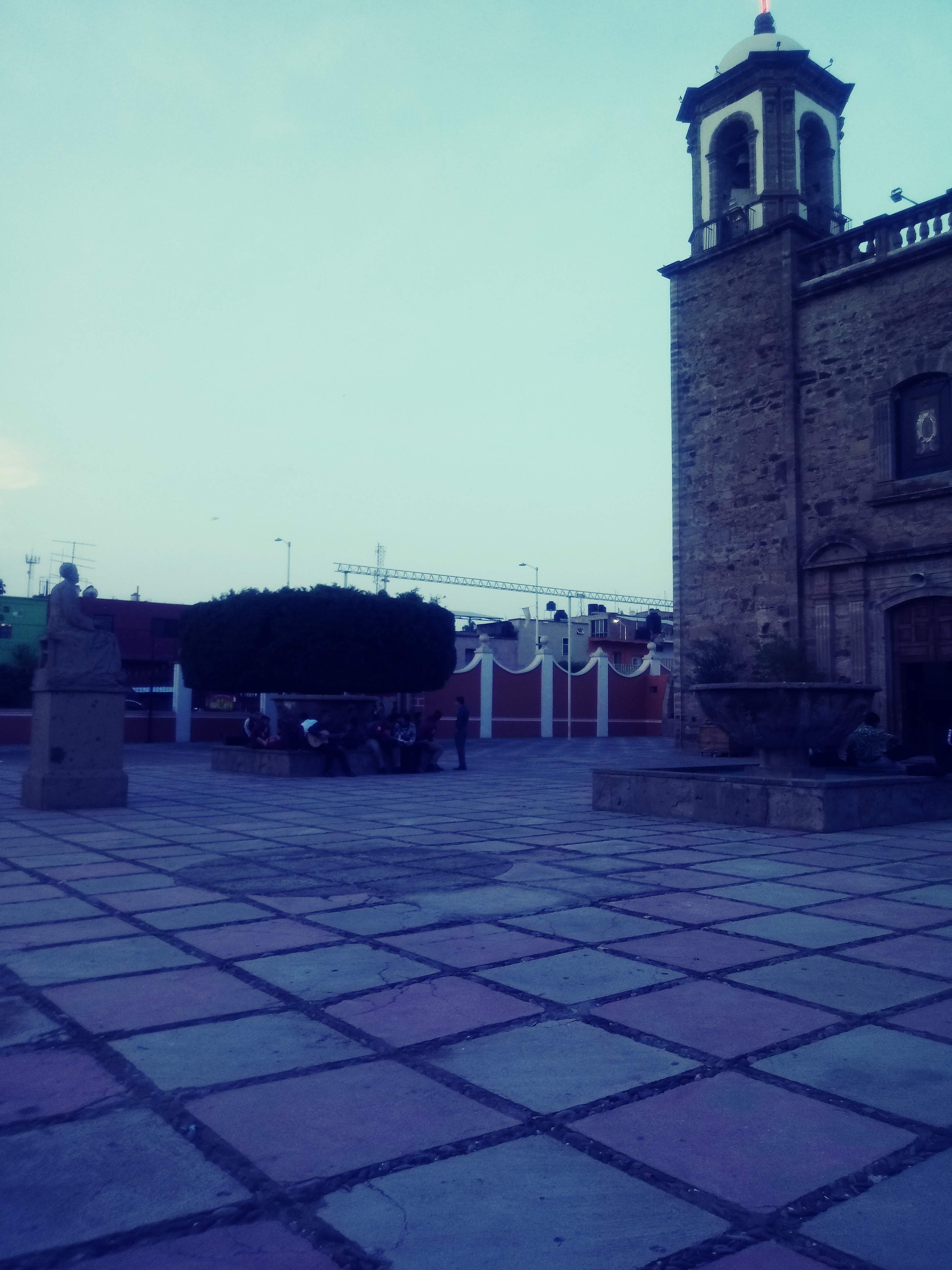 Kangreburgers and wings image 7