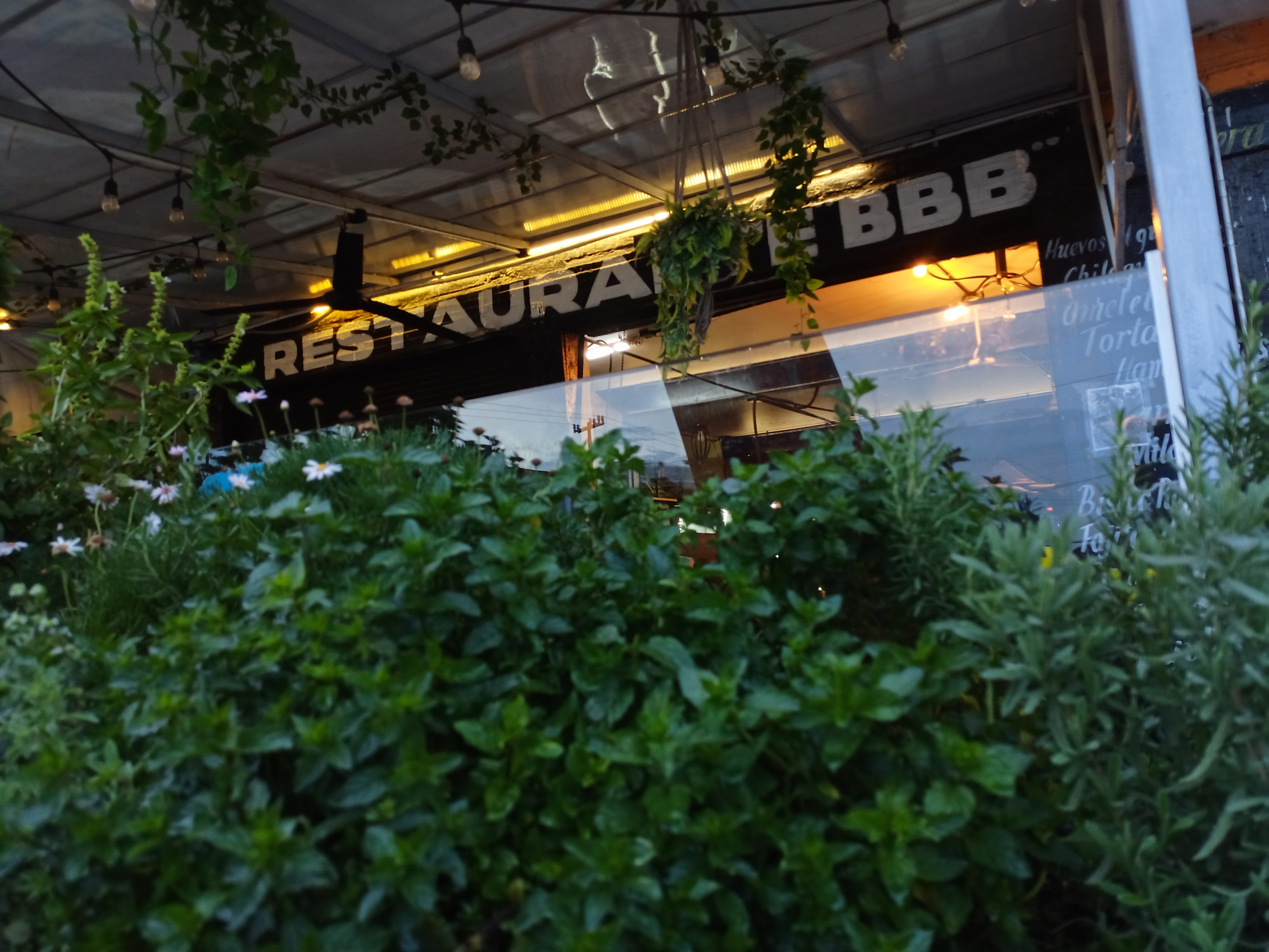 Restaurante "BBB" image 8