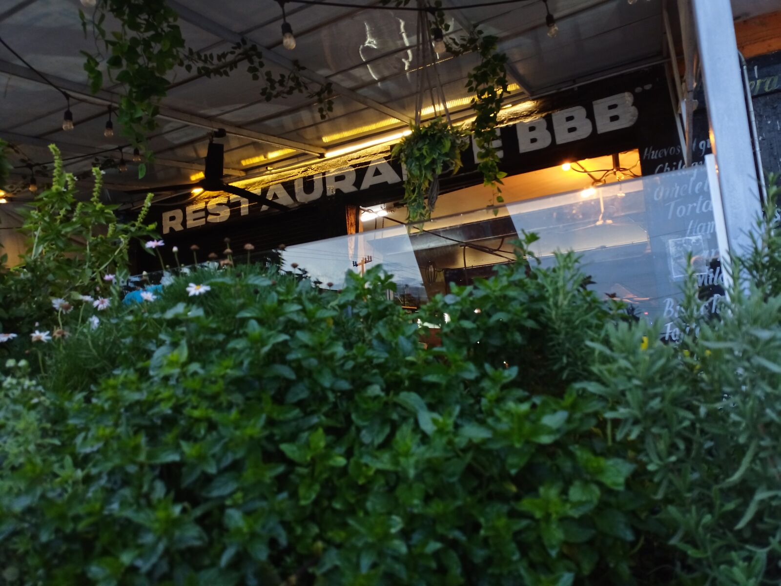 Restaurante "BBB" image 8