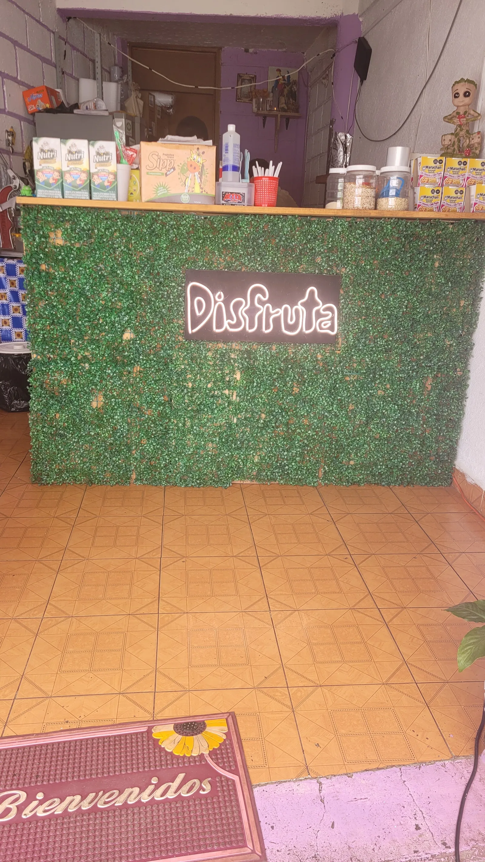 Disfruta image 10