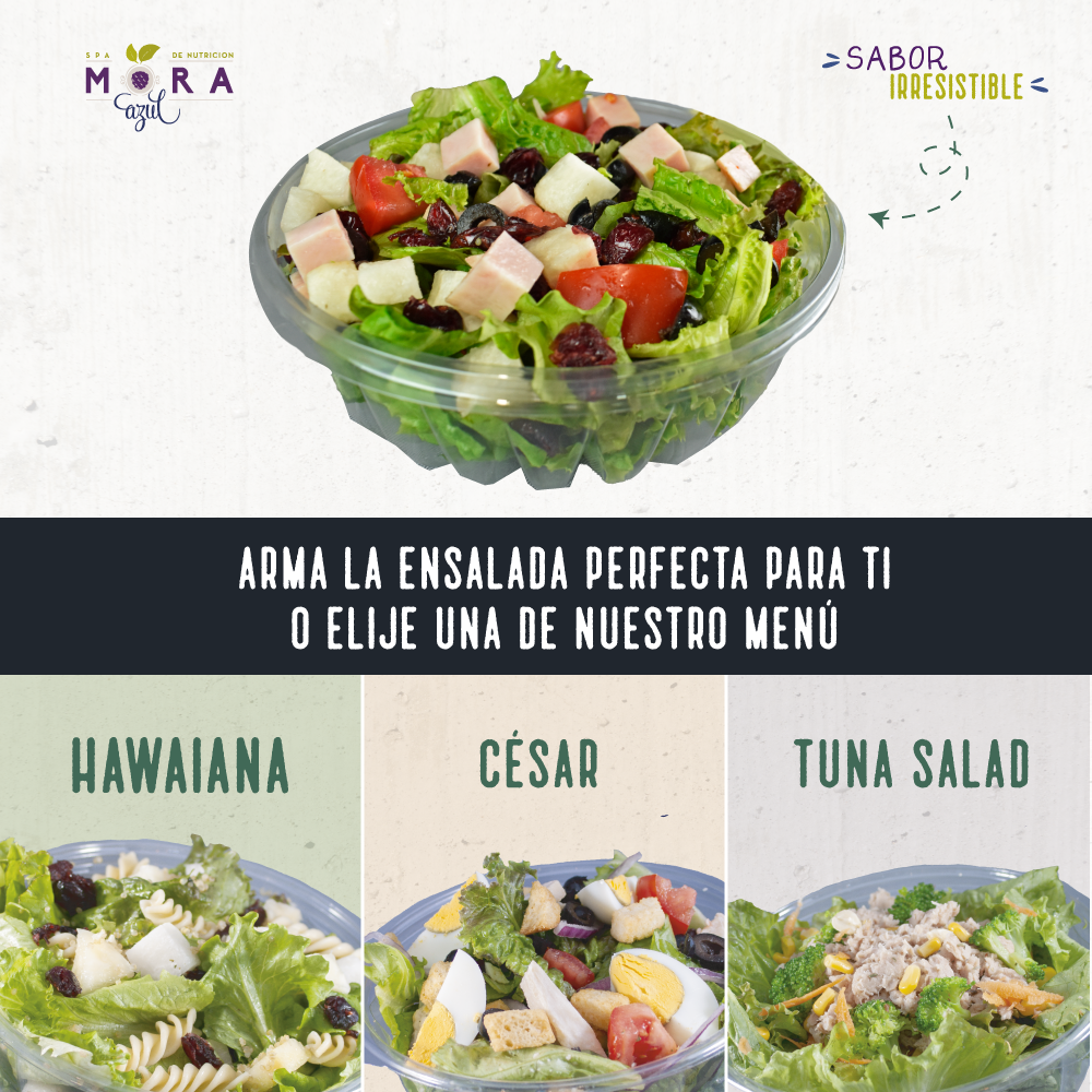 Mora Azul - Villas del Álamo image 5