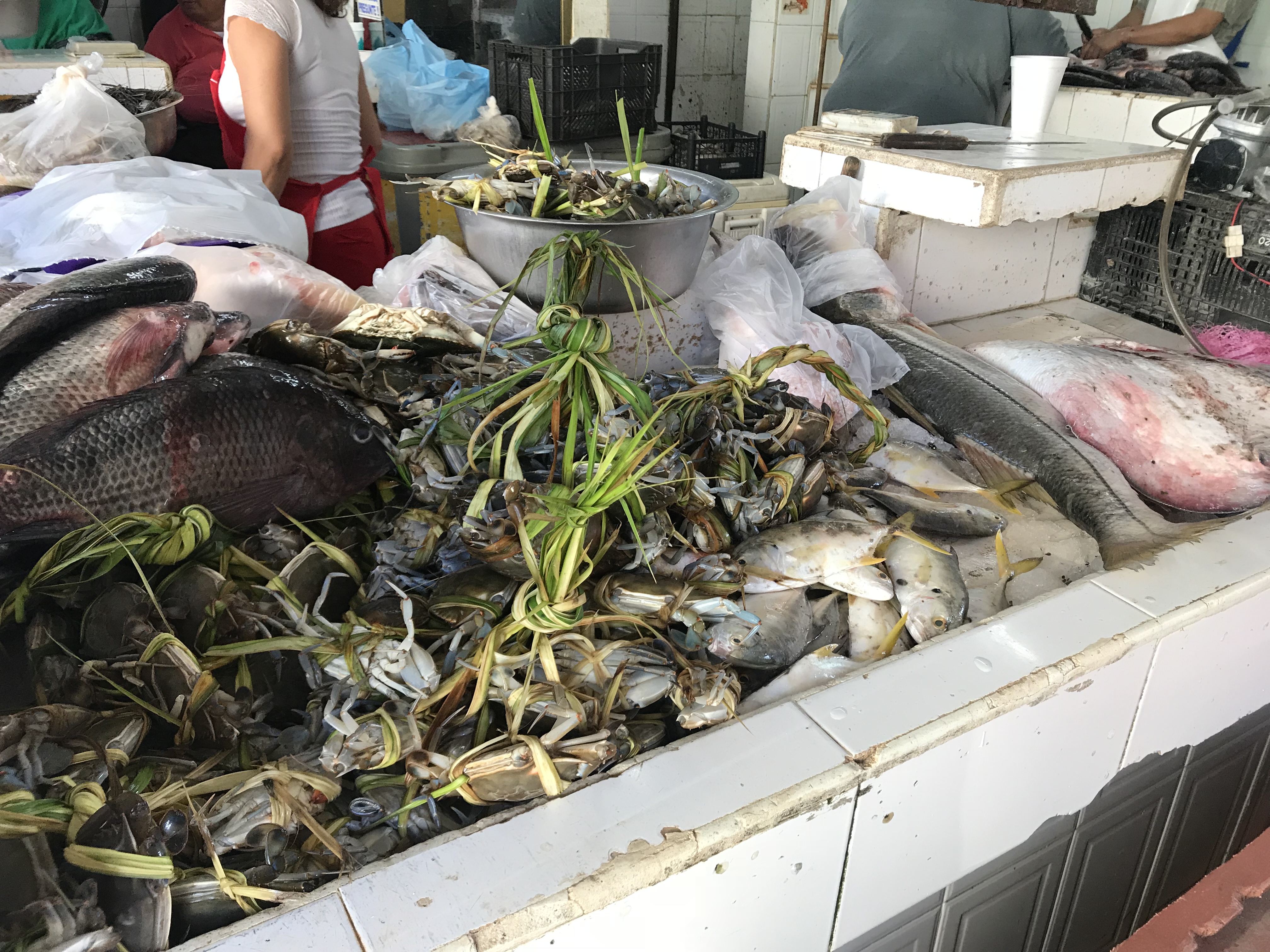 Pescaderia “Mocambo” image 1