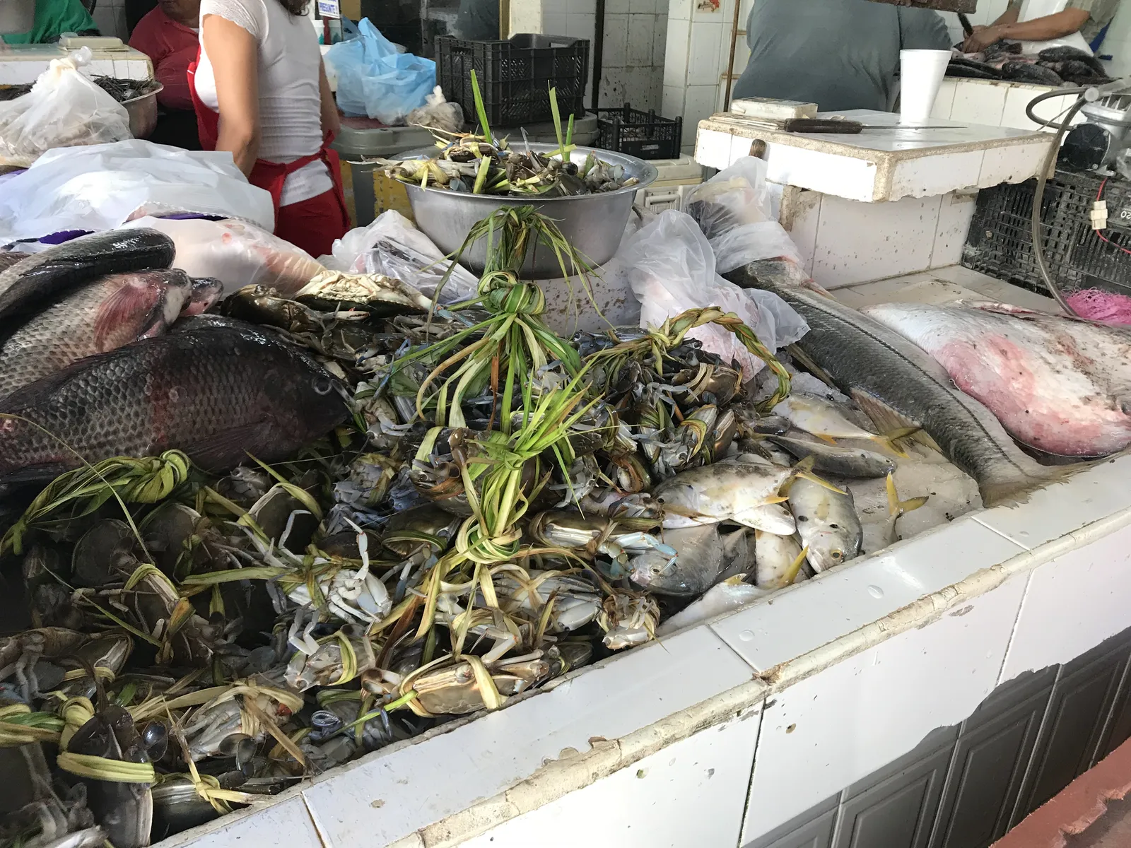 Pescaderia “Mocambo” image 1