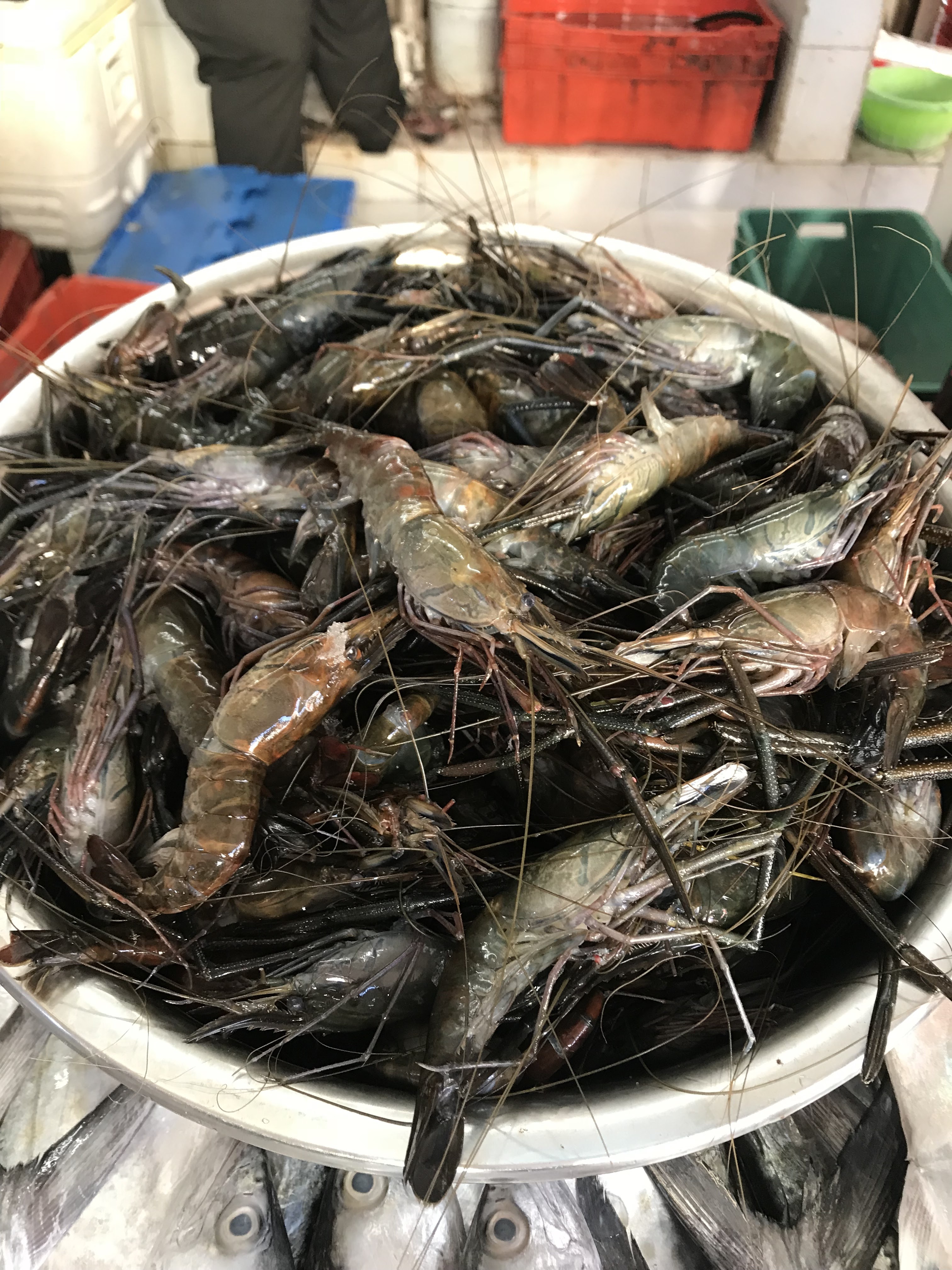 Pescaderia “Mocambo” image 2