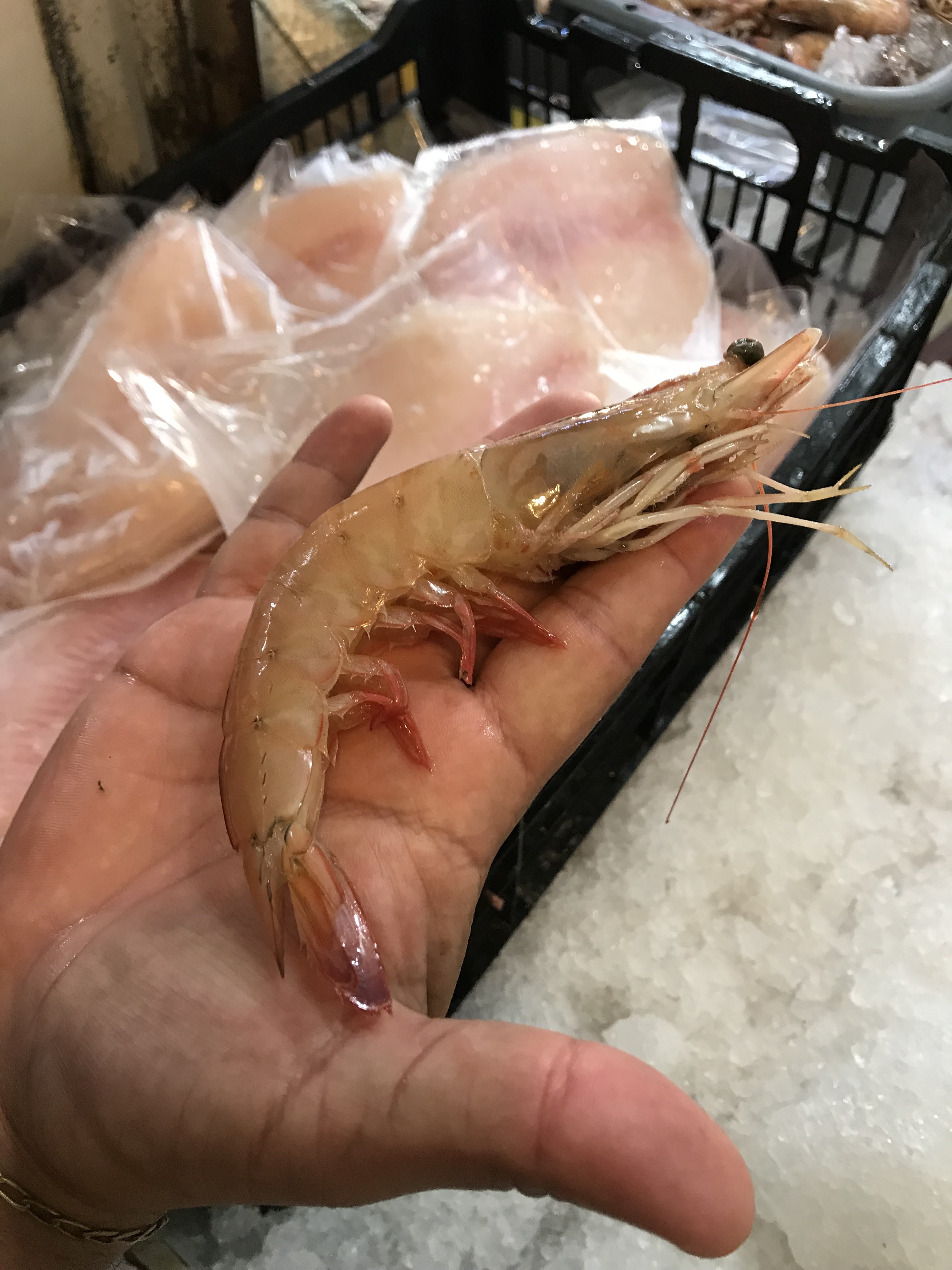 Pescaderia “Mocambo” image 4