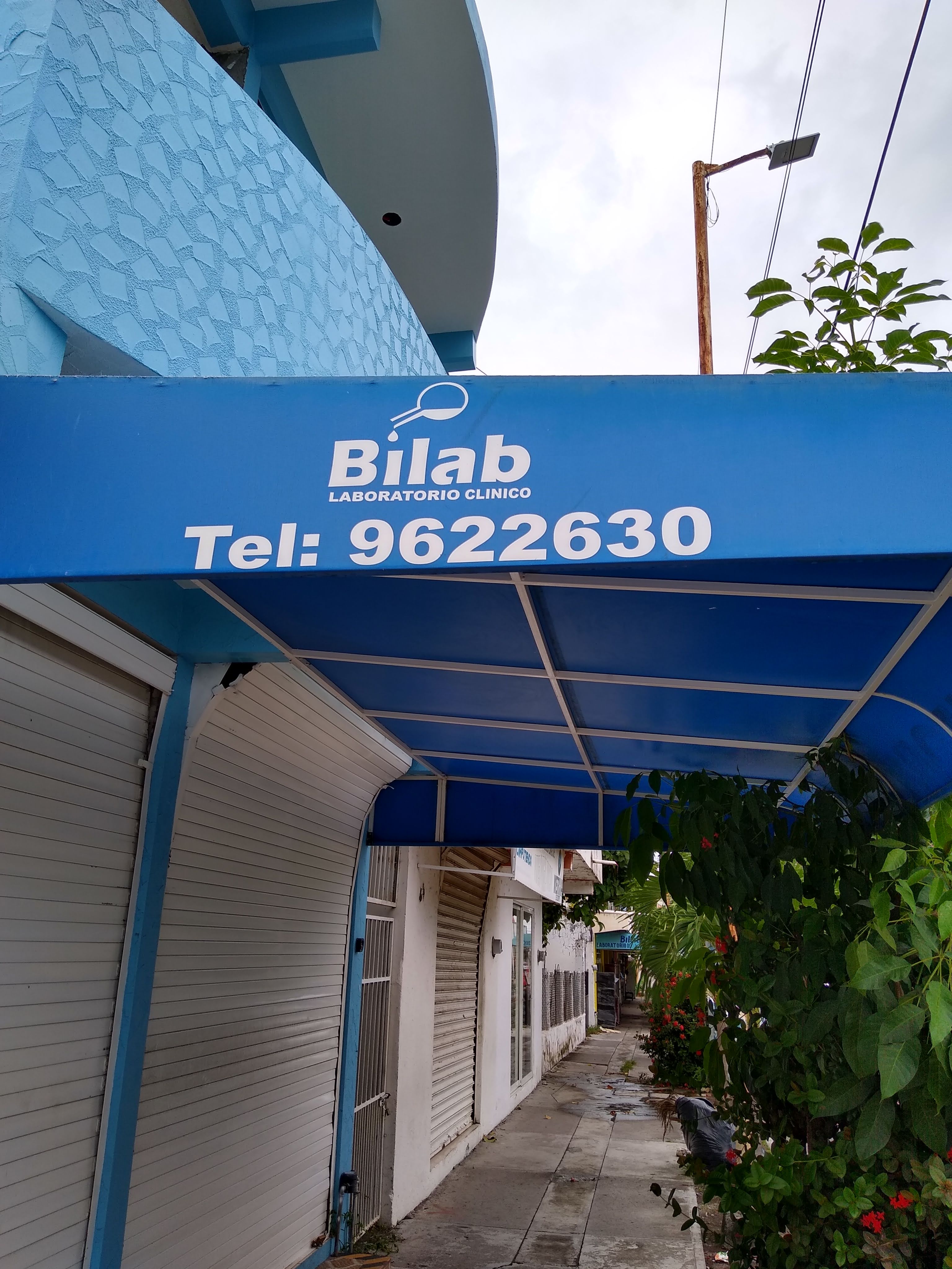 Pollo Garelli image 1