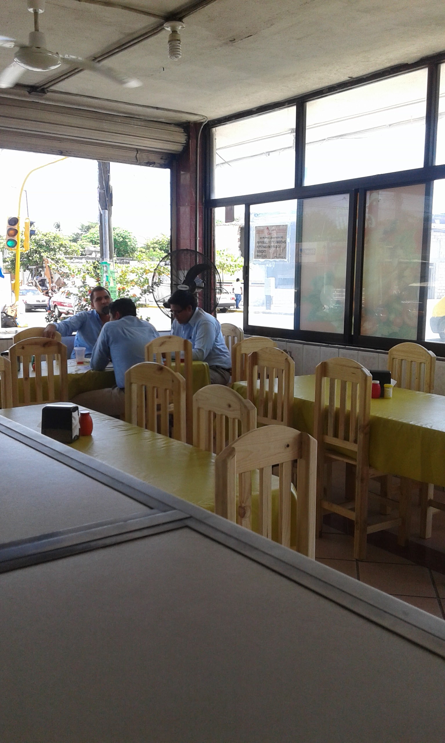 Pollo Garelli image 2