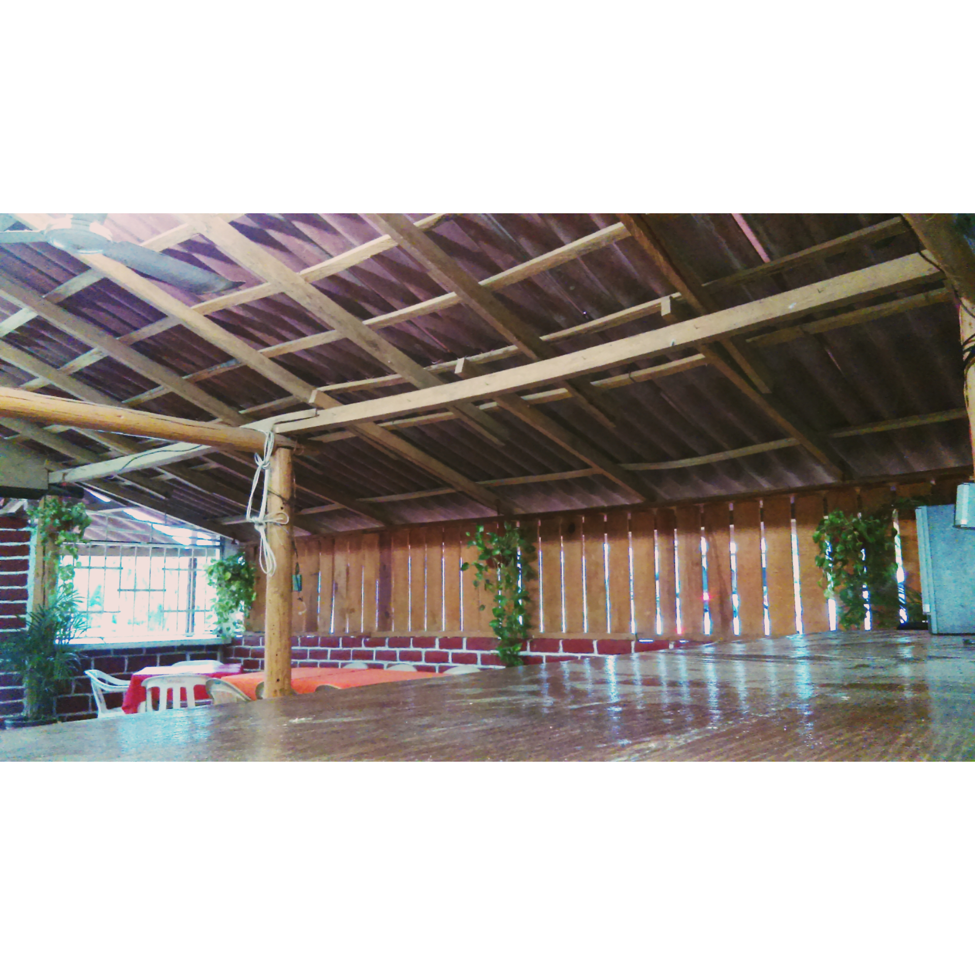 iamorePastor (tacos al pastor) image 5