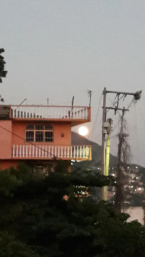 Restaurant San Carlos image 1